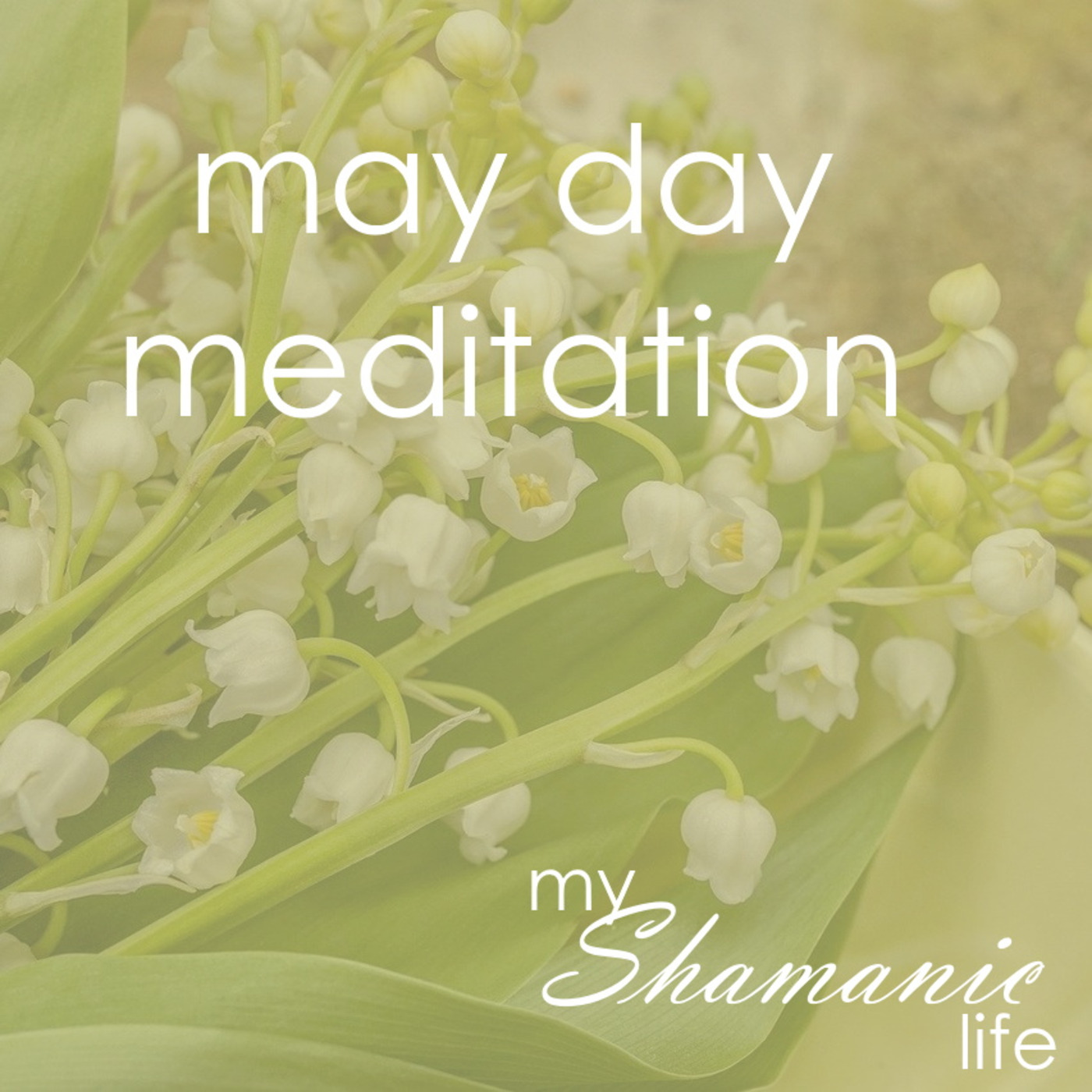 My Shamanic Life with Debbie Philp