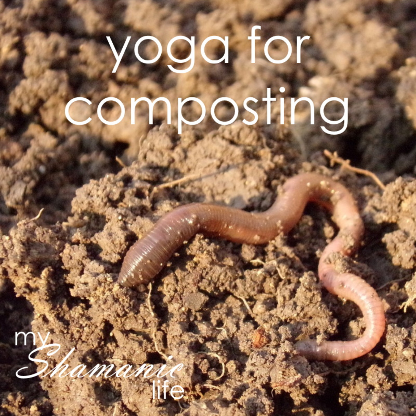 My Shamanic Life with Debbie Philp