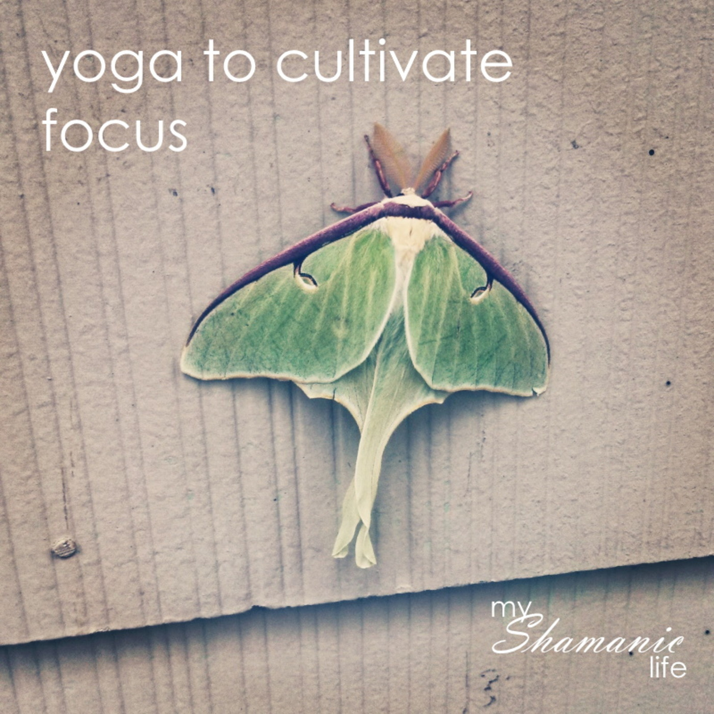 My Shamanic Life with Debbie Philp