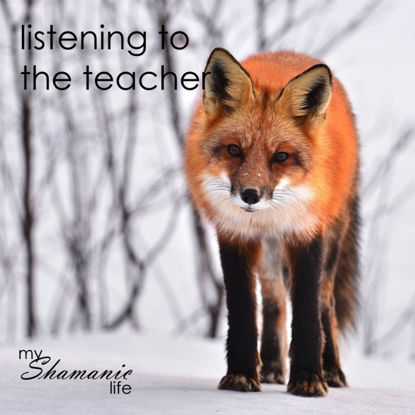 My Shamanic Life with Debbie Philp