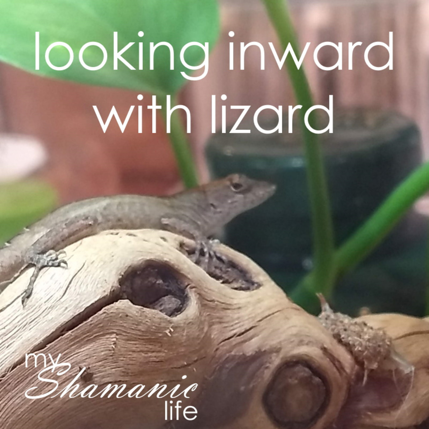 My Shamanic Life with Debbie Philp
