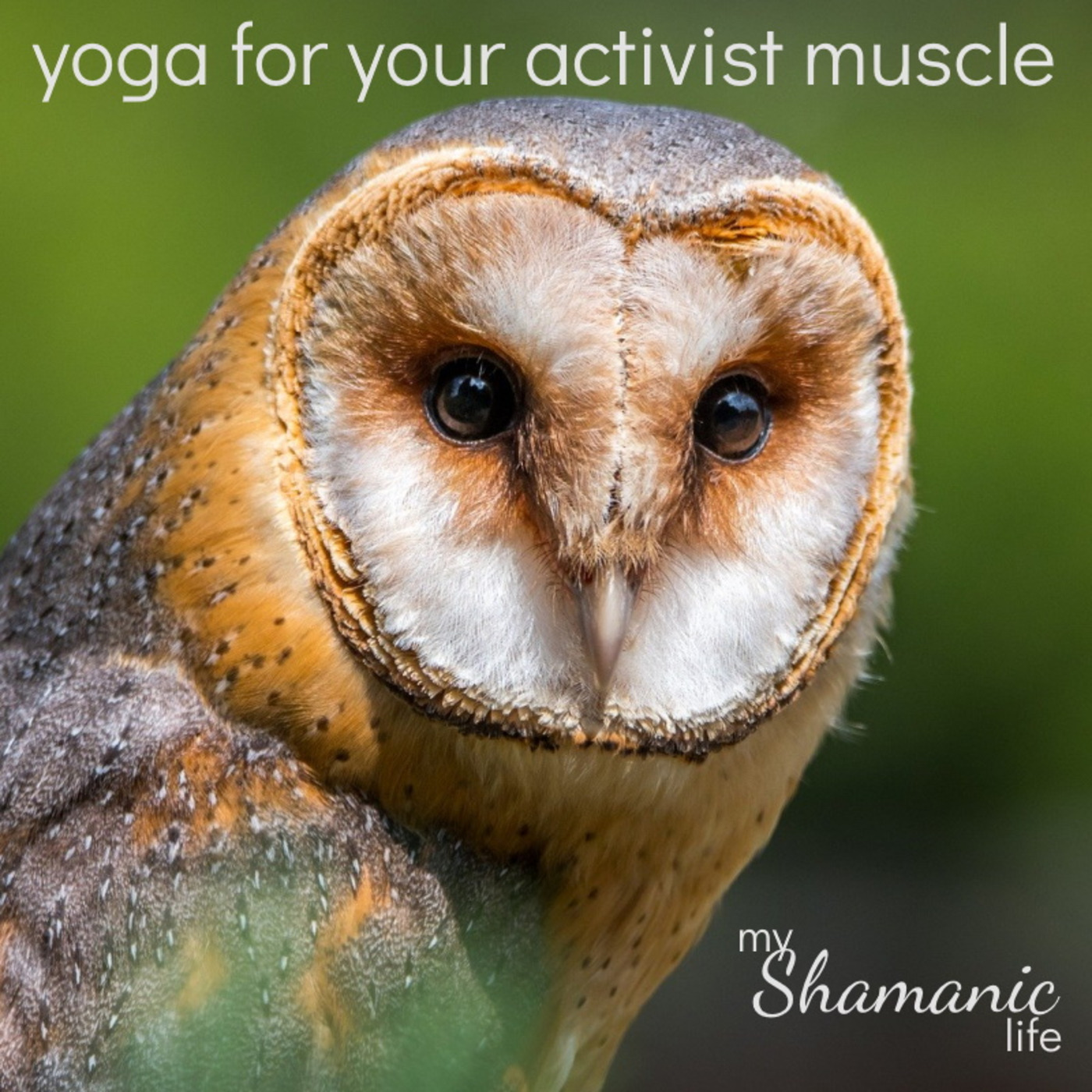 My Shamanic Life with Debbie Philp