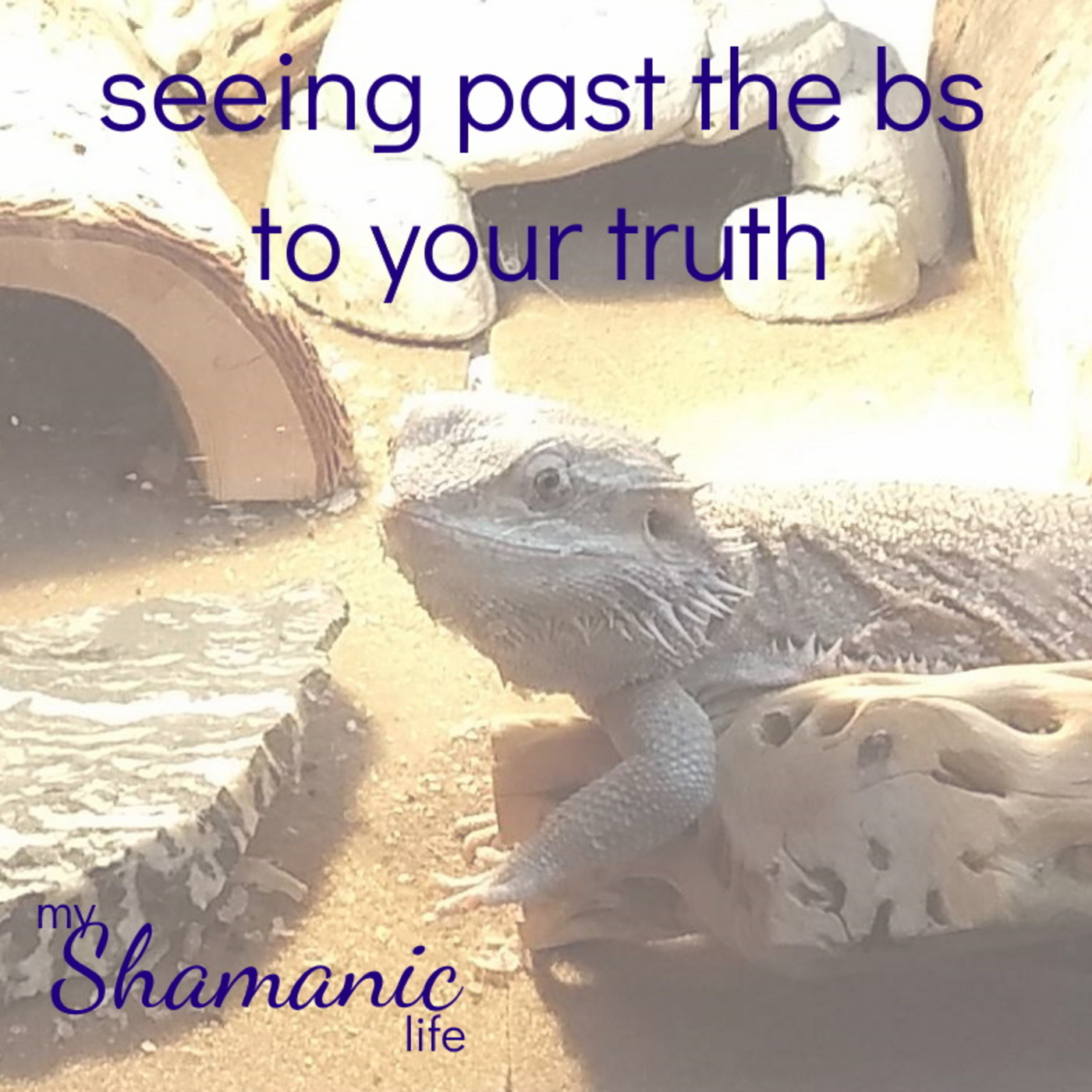My Shamanic Life with Debbie Philp