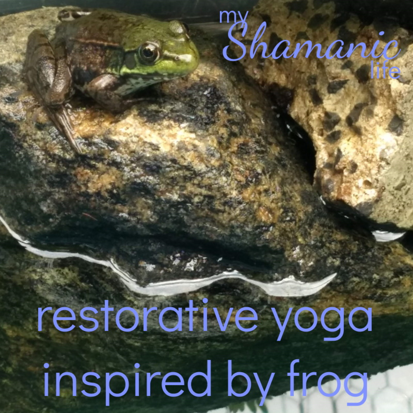 My Shamanic Life with Debbie Philp