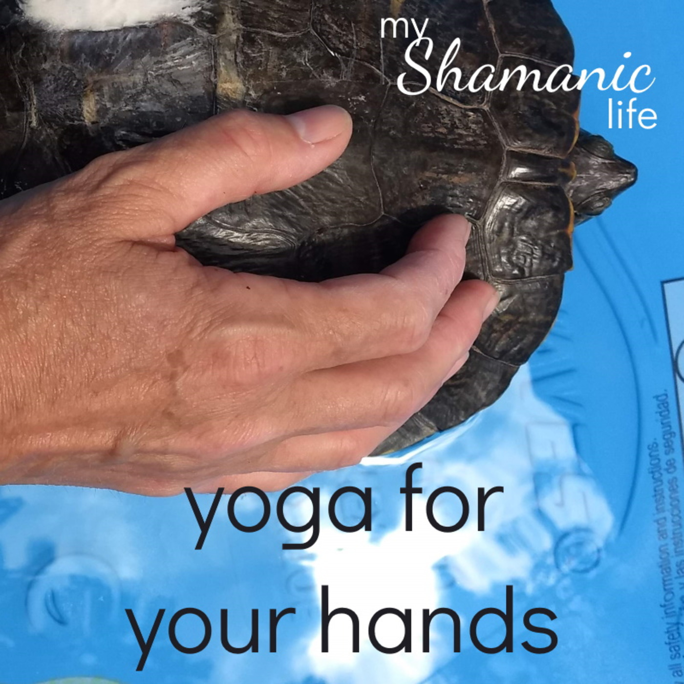 My Shamanic Life with Debbie Philp