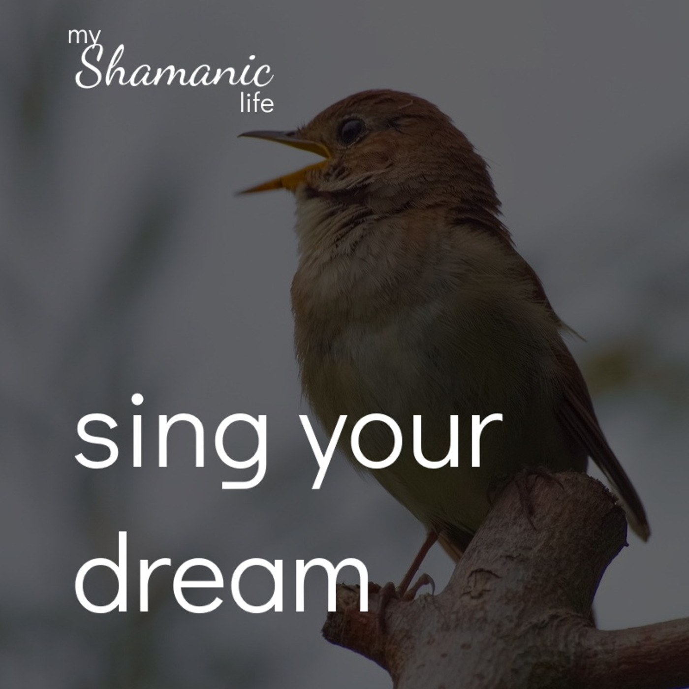 My Shamanic Life with Debbie Philp