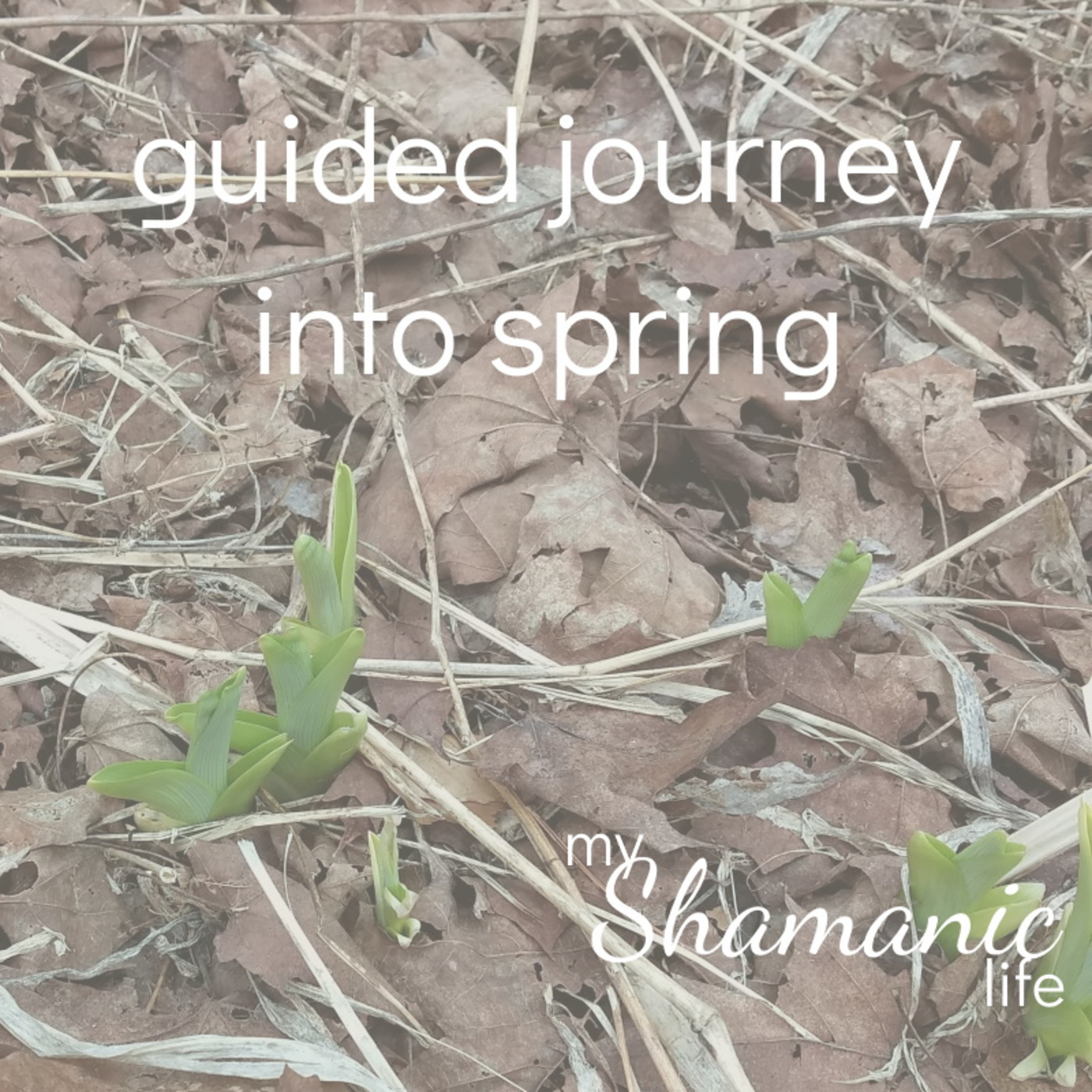 My Shamanic Life with Debbie Philp