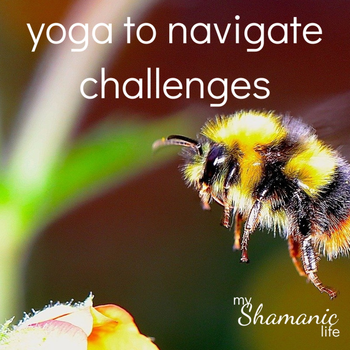 My Shamanic Life with Debbie Philp