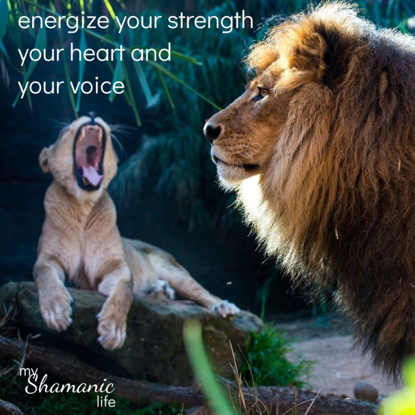 My Shamanic Life with Debbie Philp