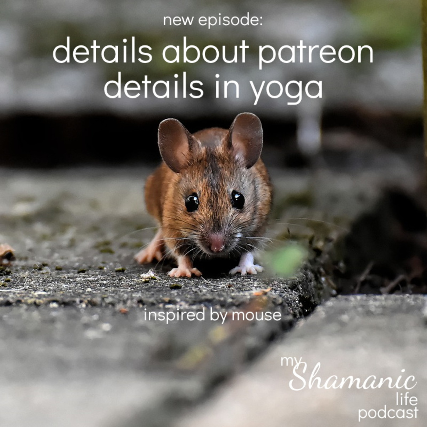 My Shamanic Life with Debbie Philp