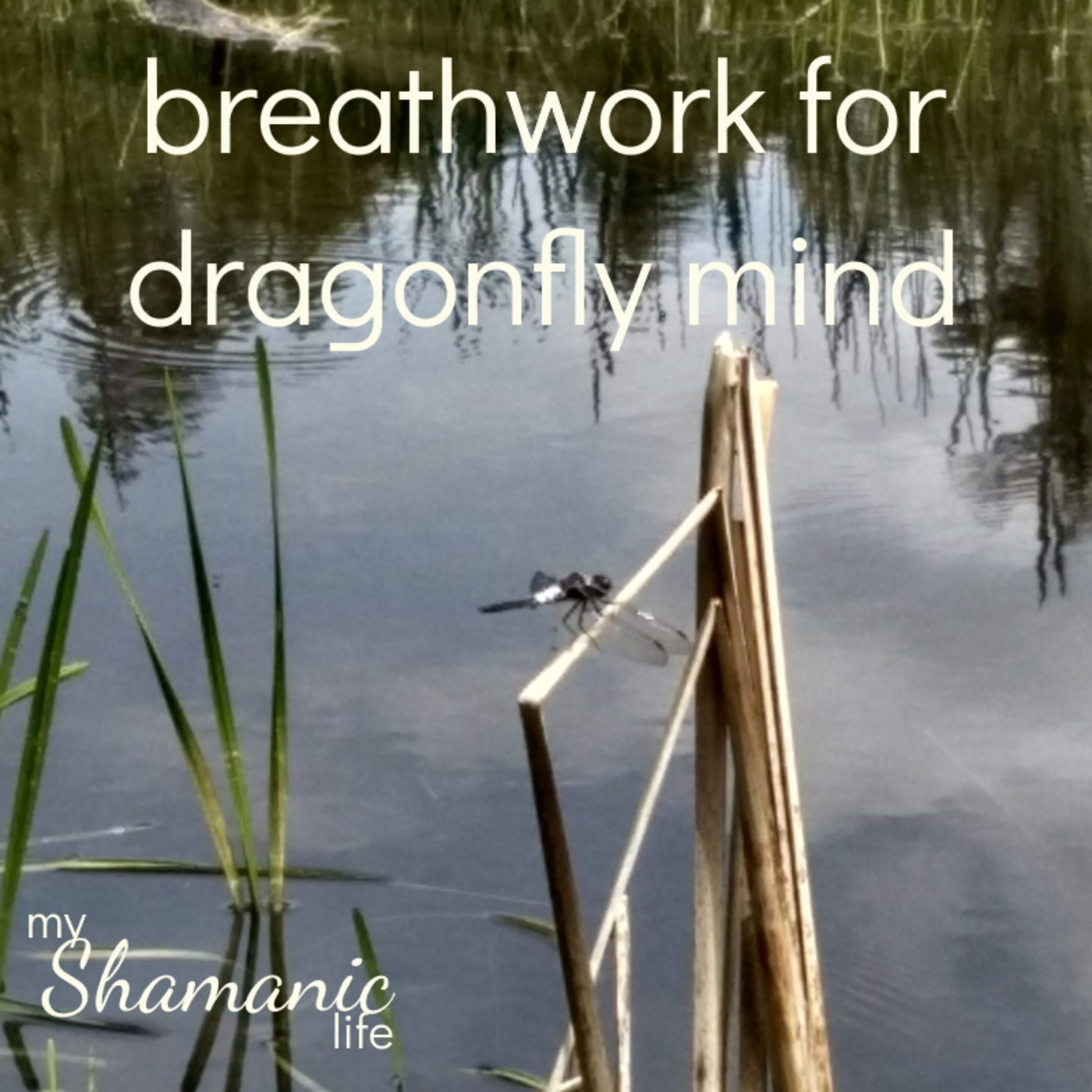 My Shamanic Life with Debbie Philp