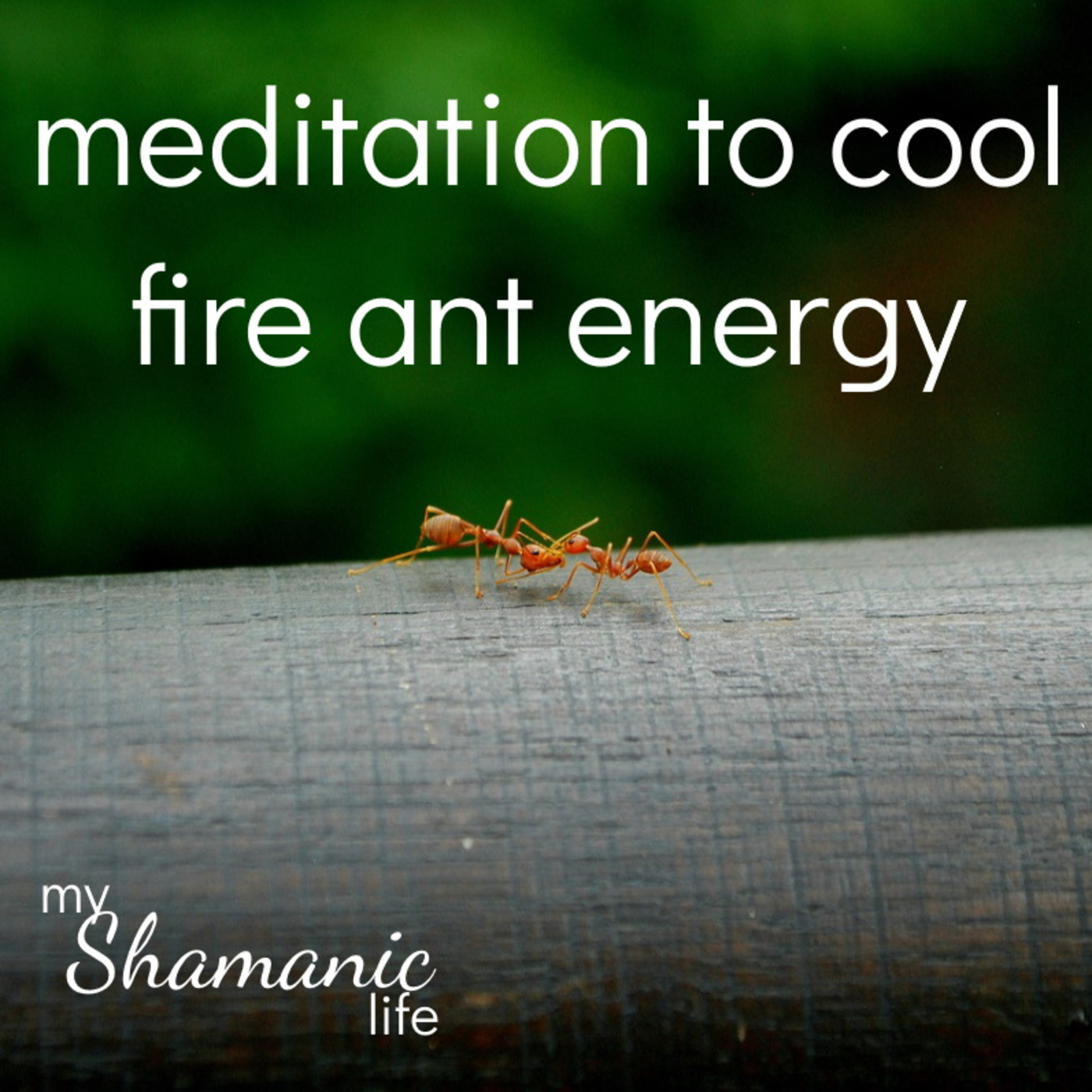 My Shamanic Life with Debbie Philp