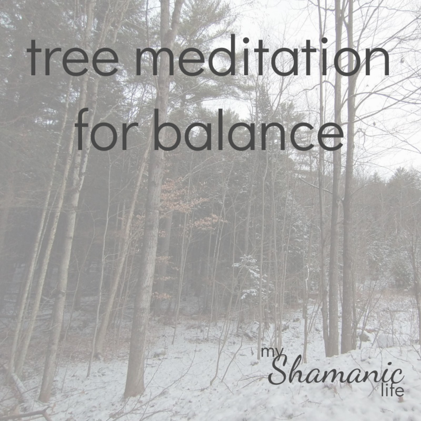 My Shamanic Life with Debbie Philp