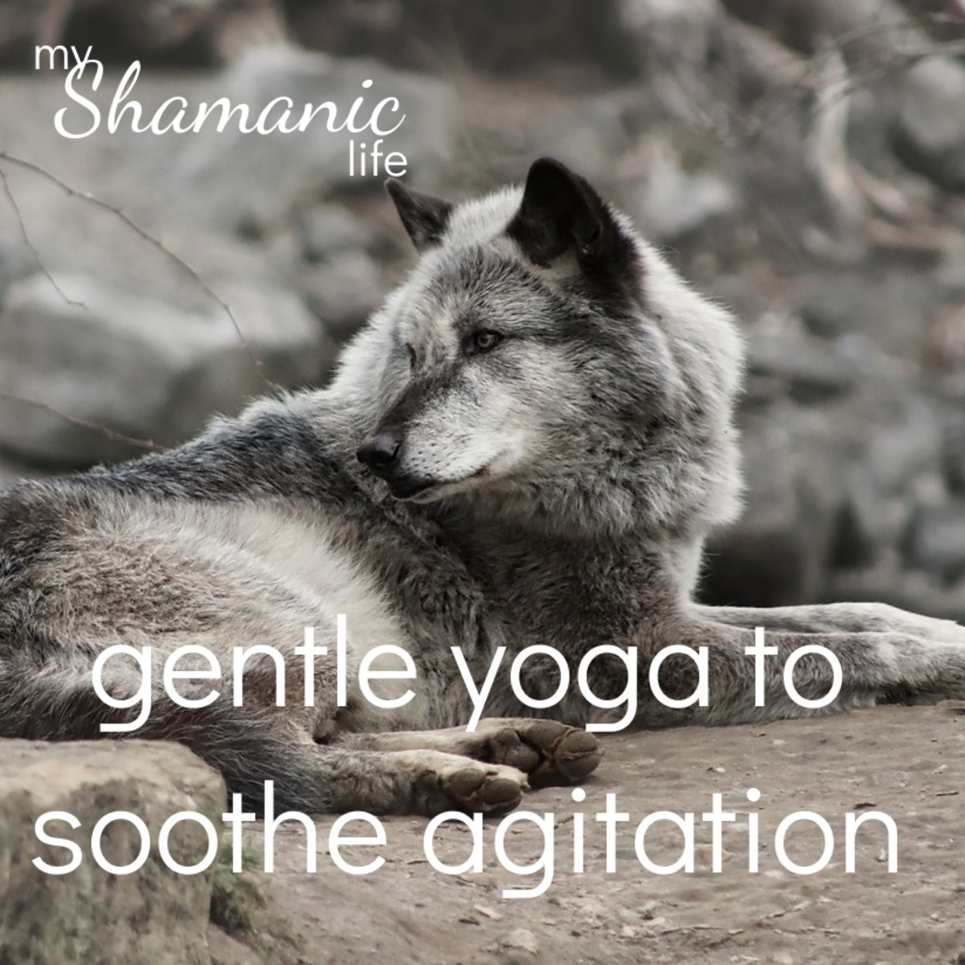 My Shamanic Life with Debbie Philp