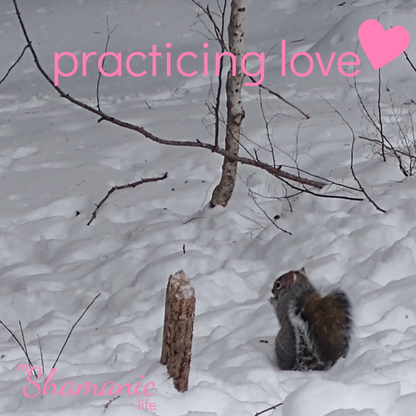 My Shamanic Life with Debbie Philp