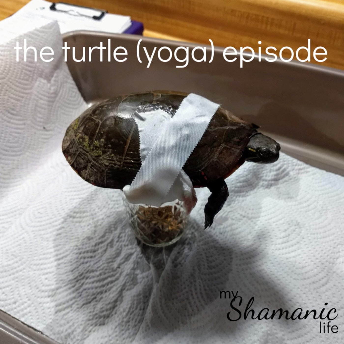 My Shamanic Life with Debbie Philp