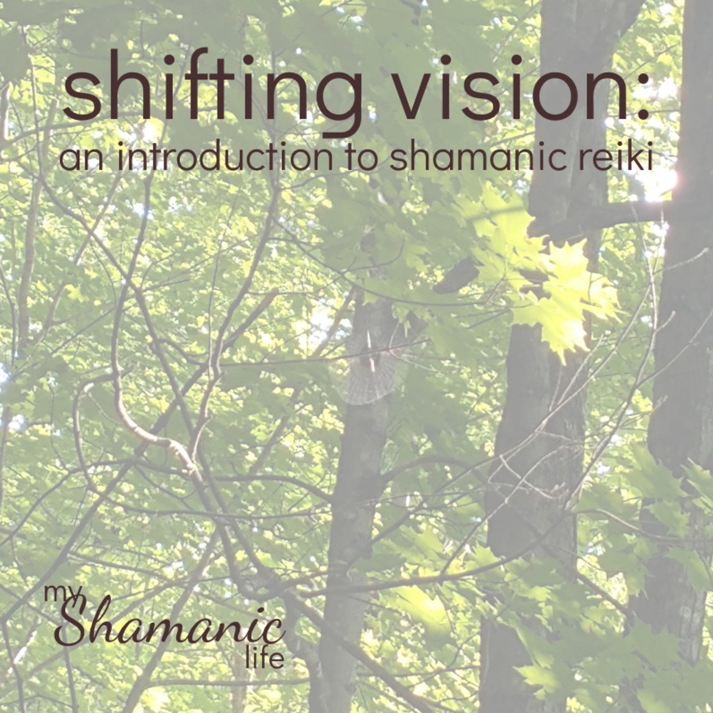 My Shamanic Life with Debbie Philp