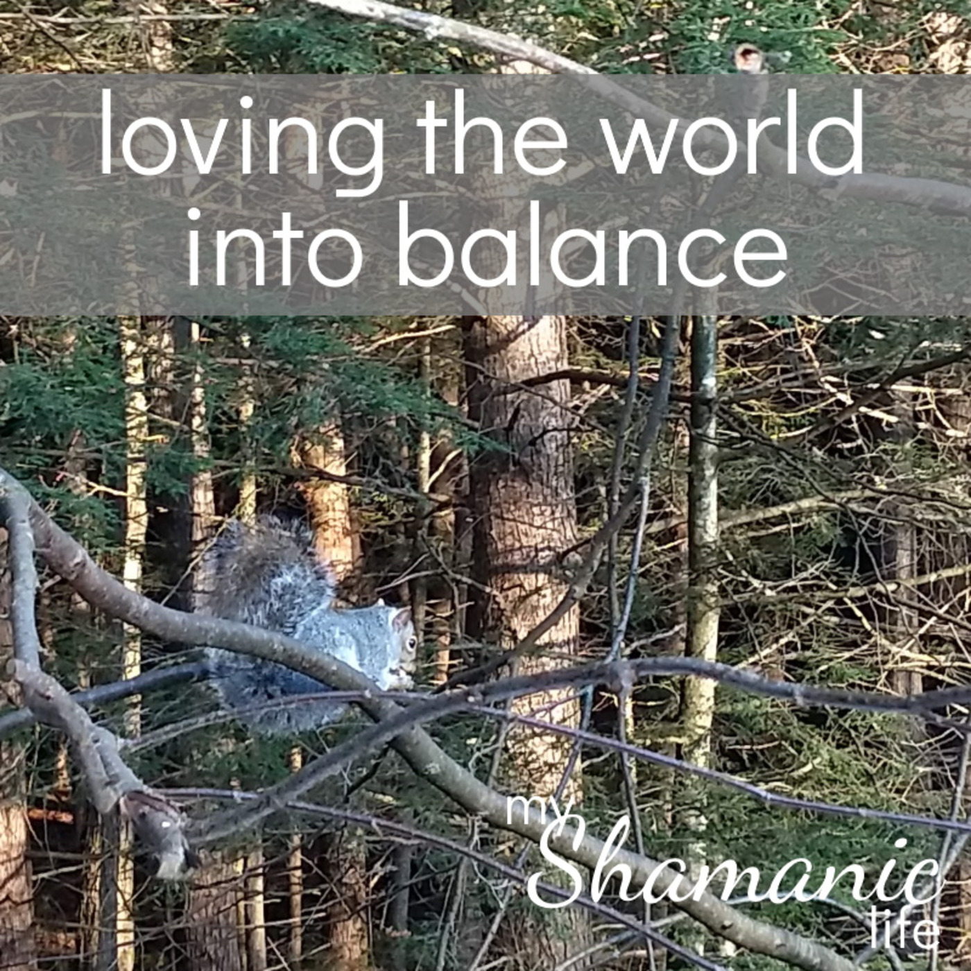 My Shamanic Life with Debbie Philp