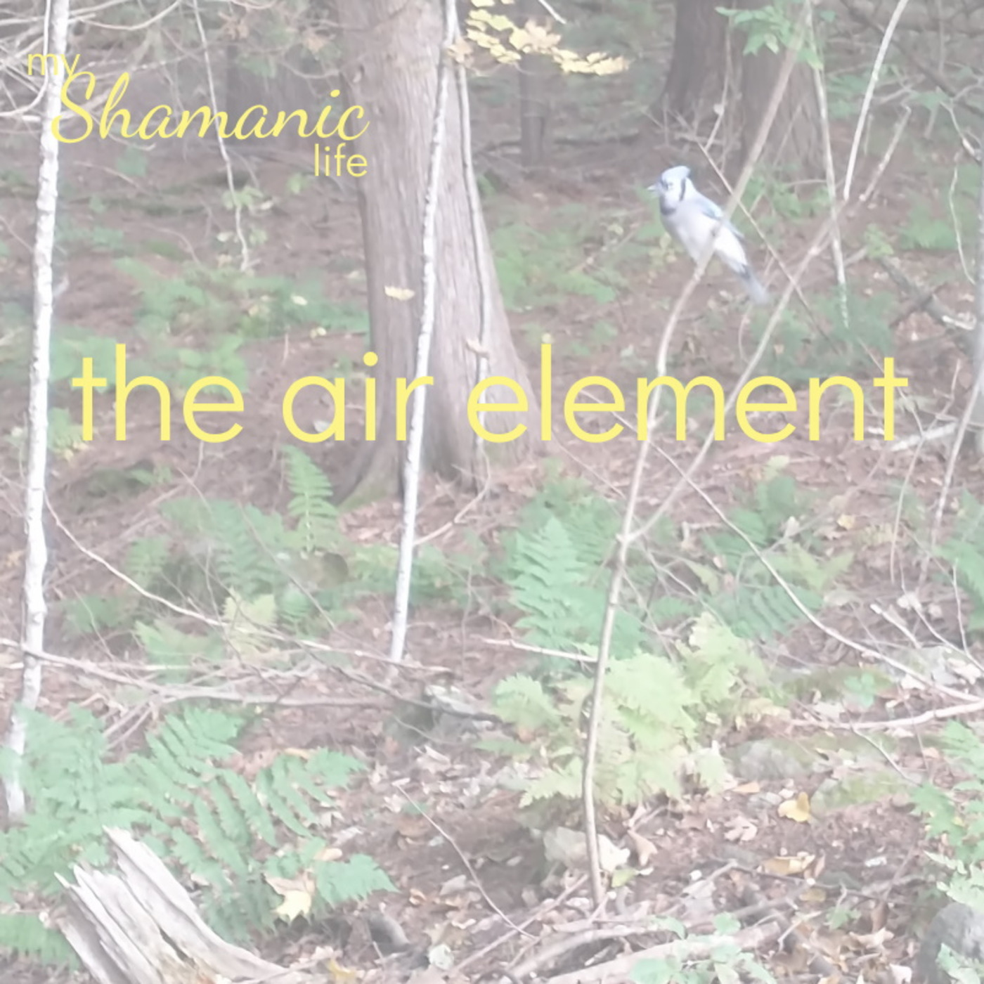 My Shamanic Life with Debbie Philp