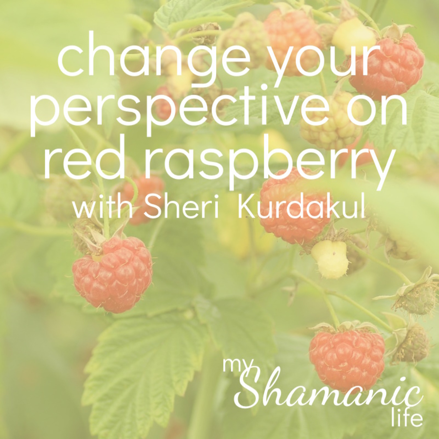 My Shamanic Life with Debbie Philp