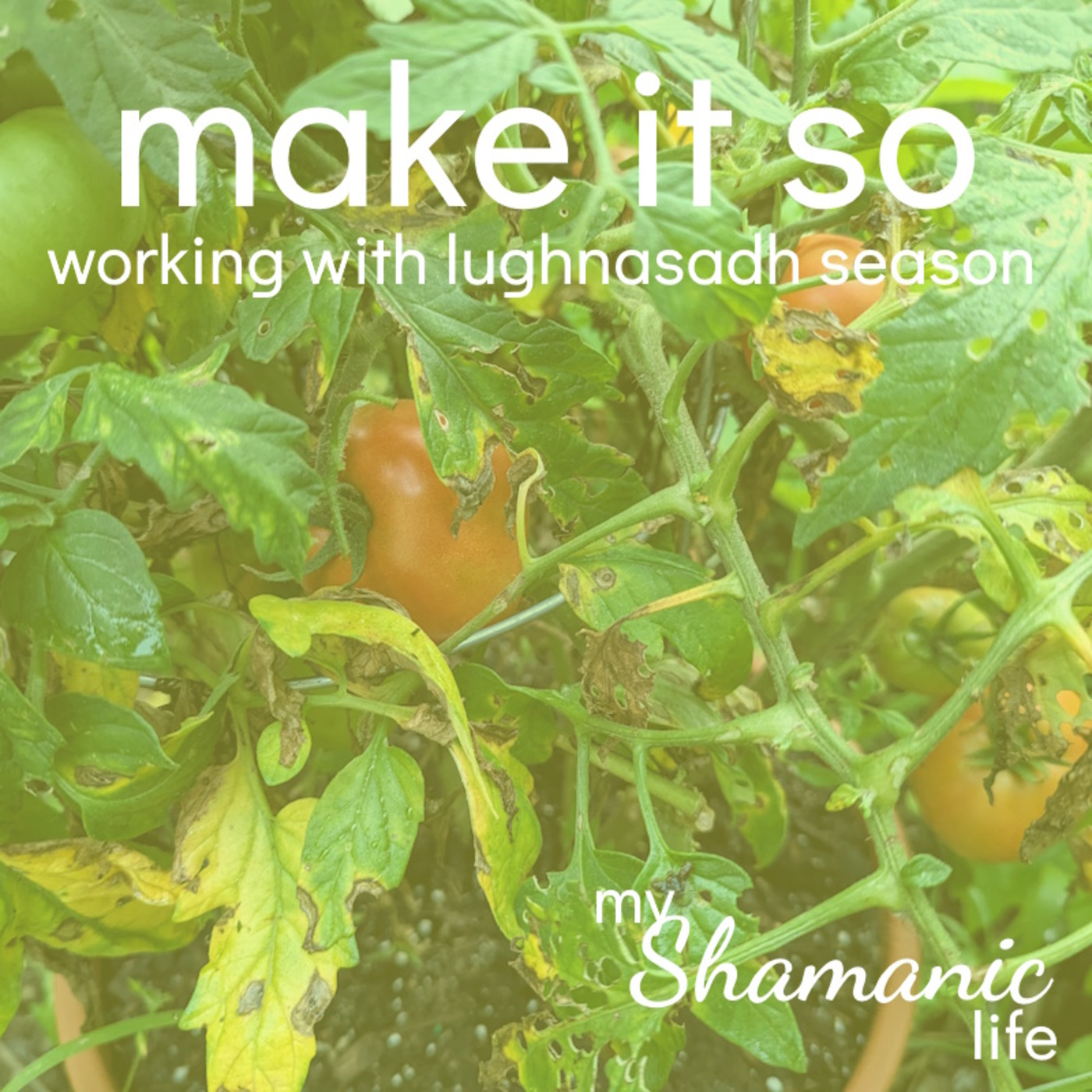 My Shamanic Life with Debbie Philp