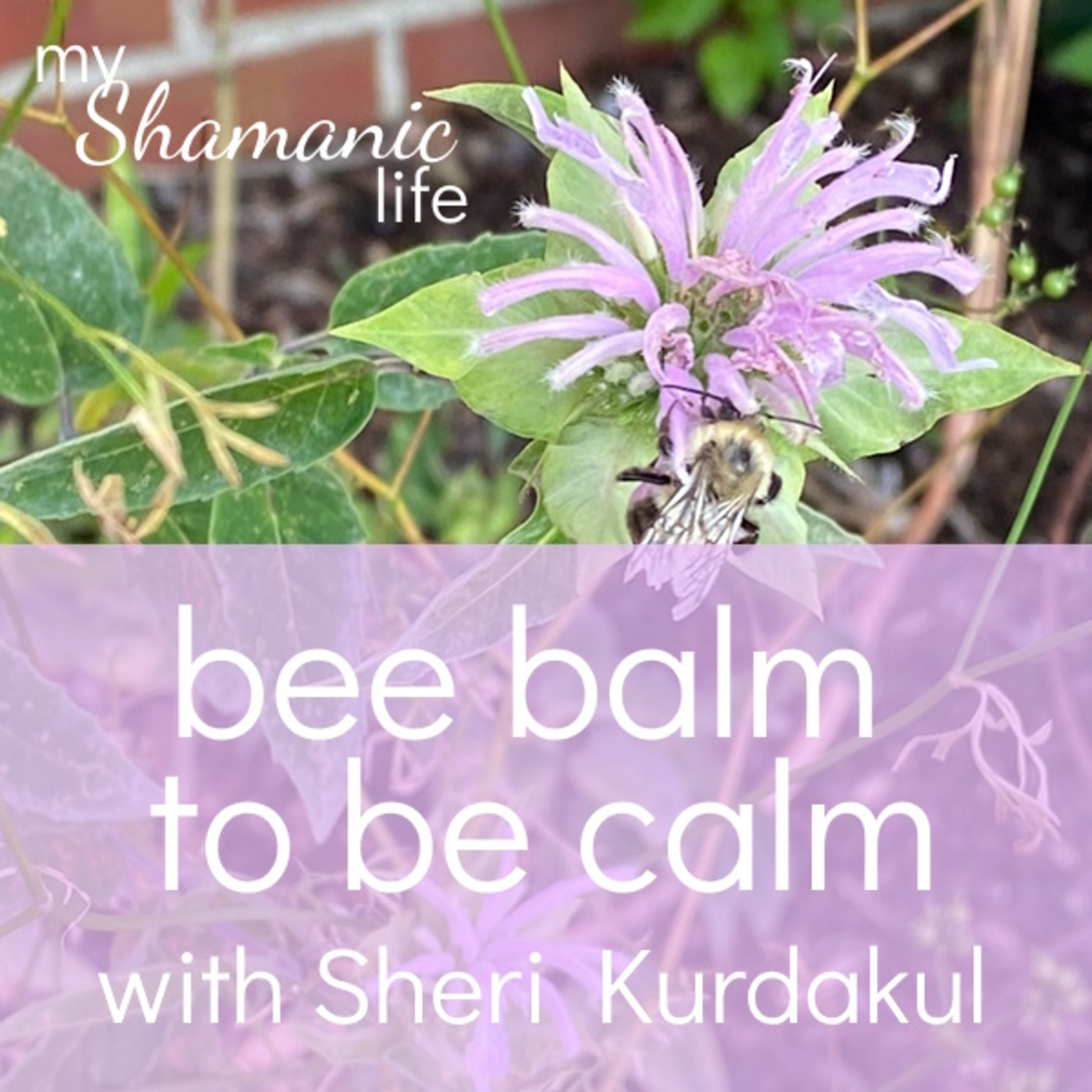 My Shamanic Life with Debbie Philp