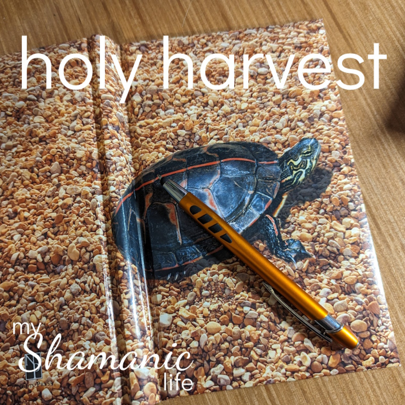 My Shamanic Life with Debbie Philp