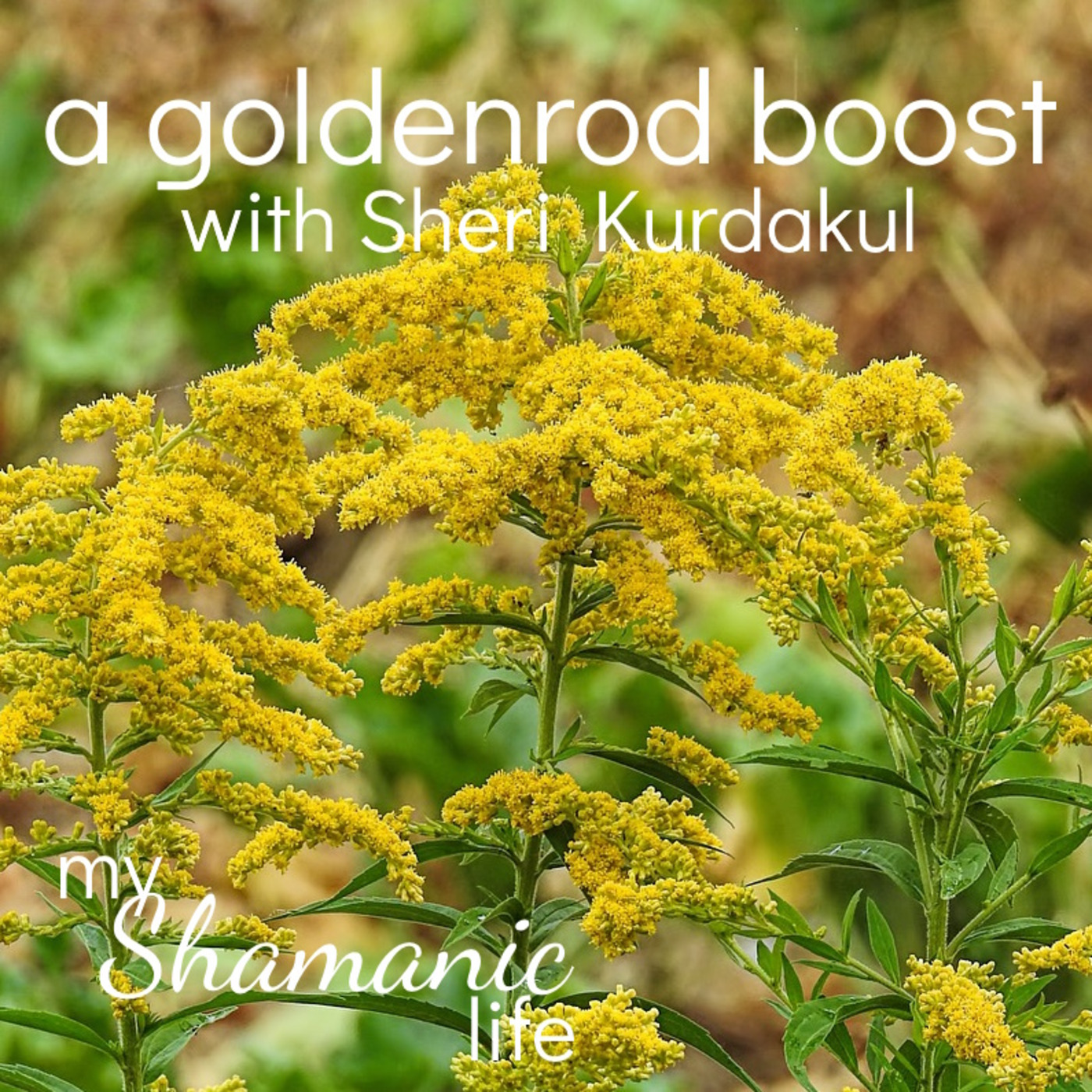 My Shamanic Life with Debbie Philp