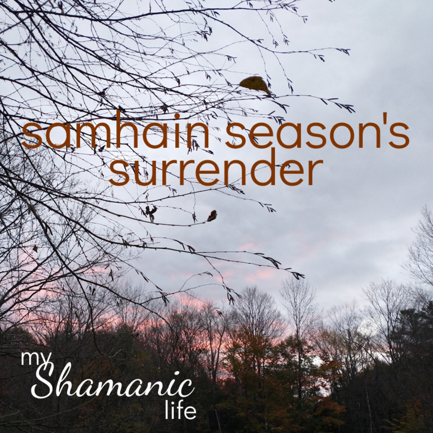 My Shamanic Life with Debbie Philp