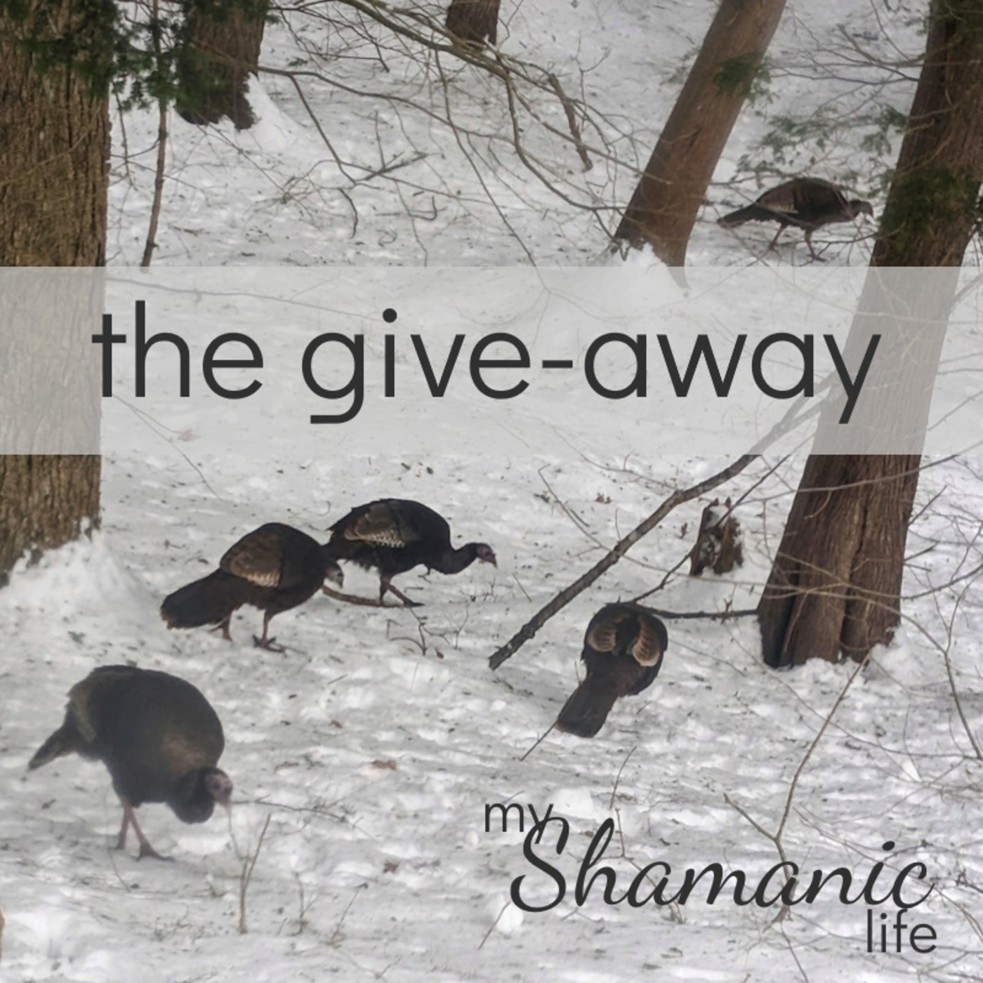 My Shamanic Life with Debbie Philp