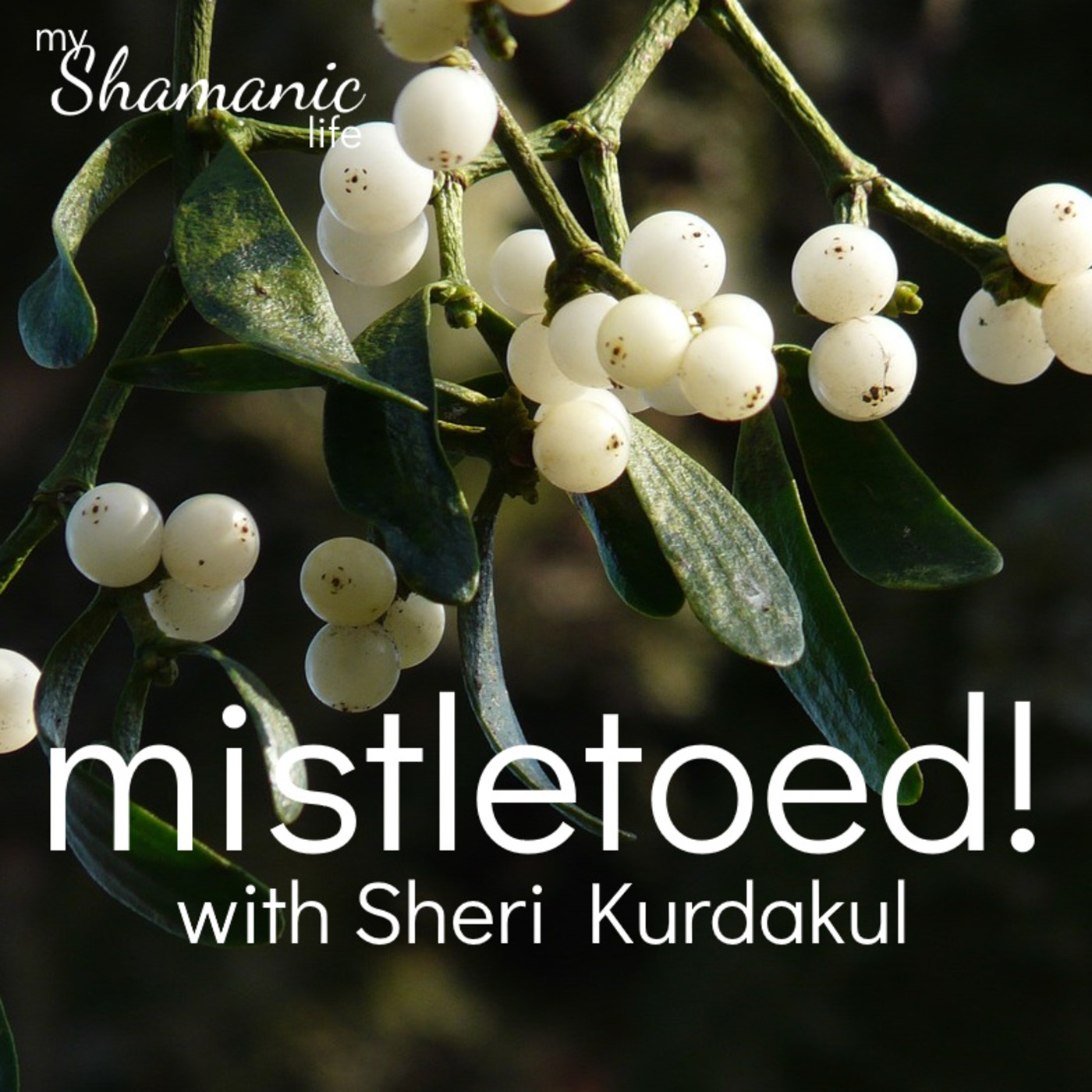 My Shamanic Life with Debbie Philp