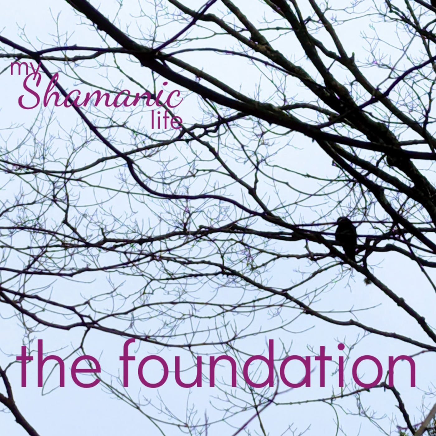 My Shamanic Life with Debbie Philp