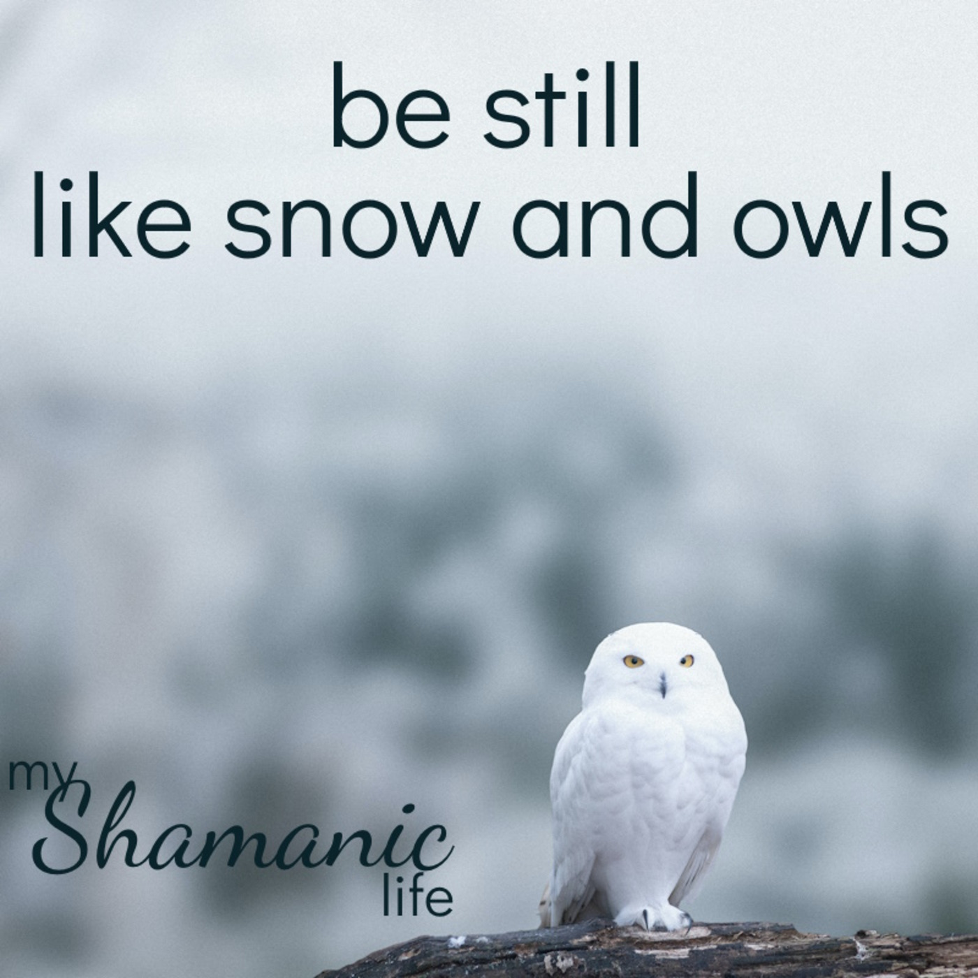 My Shamanic Life with Debbie Philp