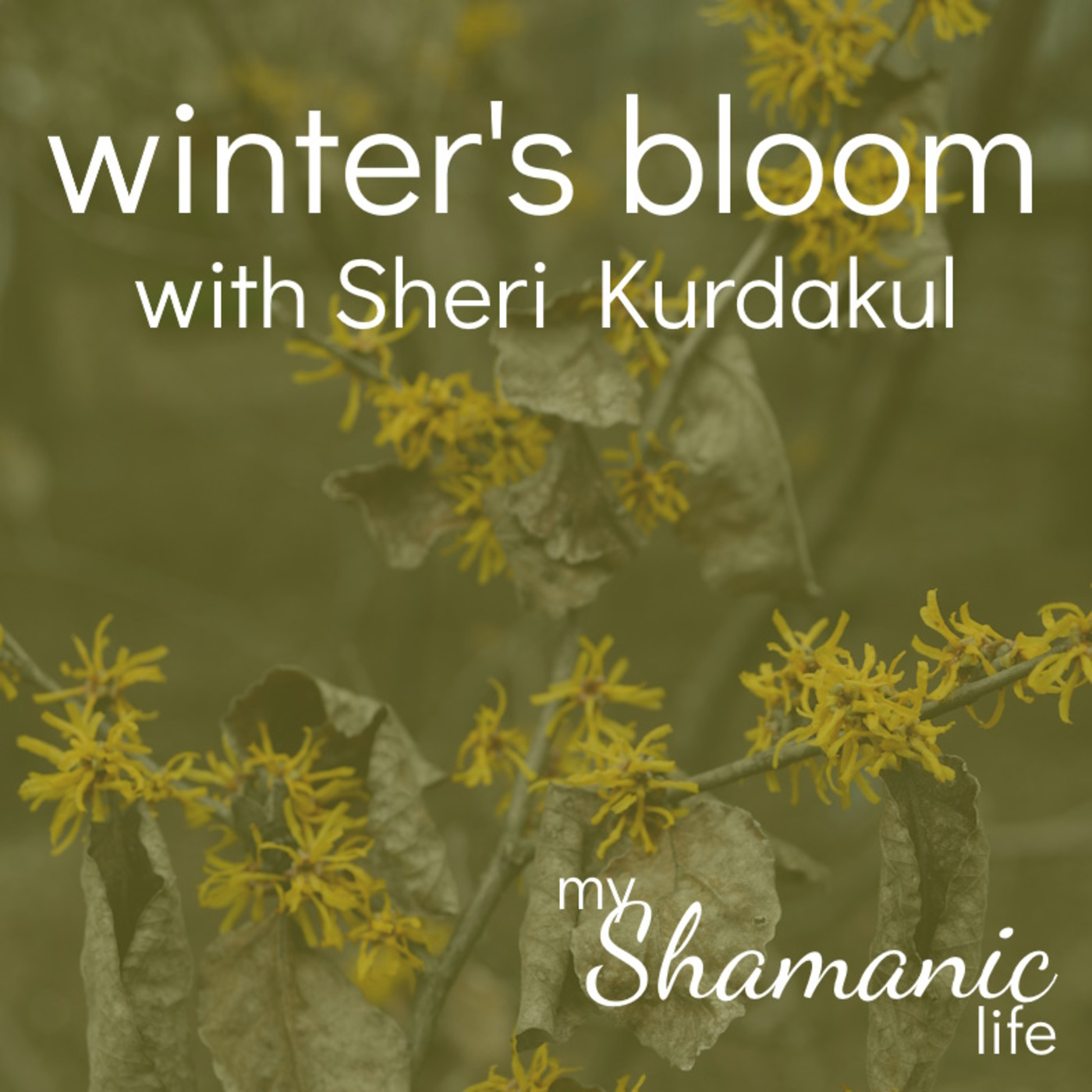My Shamanic Life with Debbie Philp