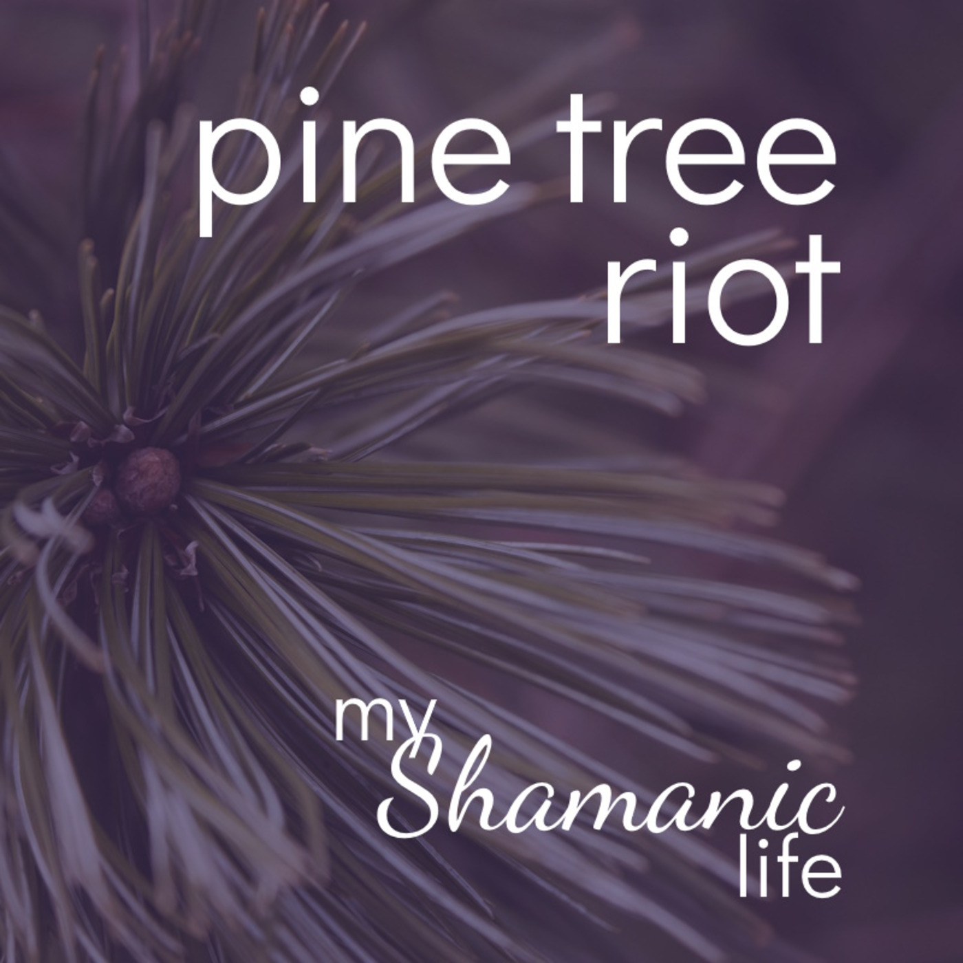 My Shamanic Life with Debbie Philp