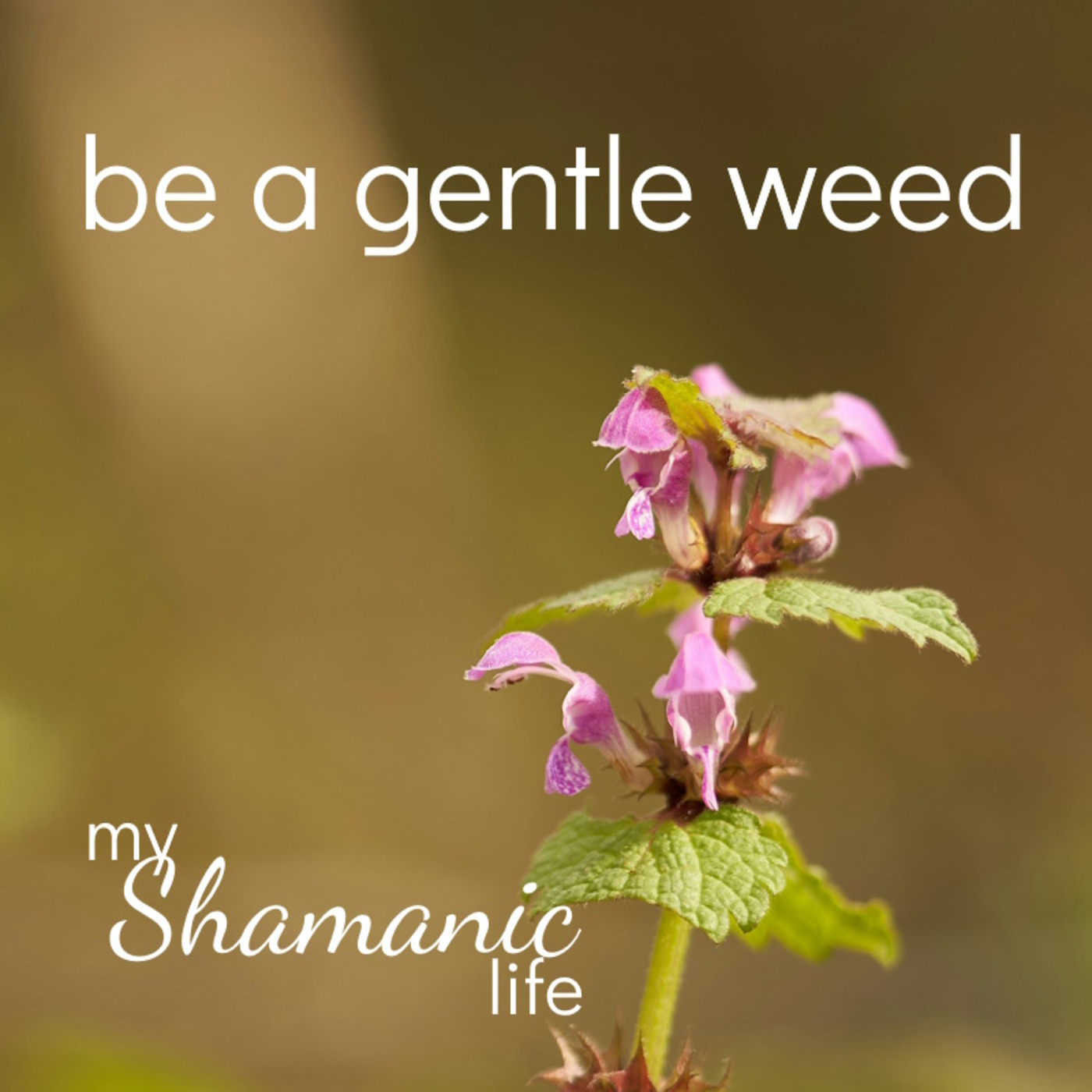 Episode 152: Be a Gentle Weed