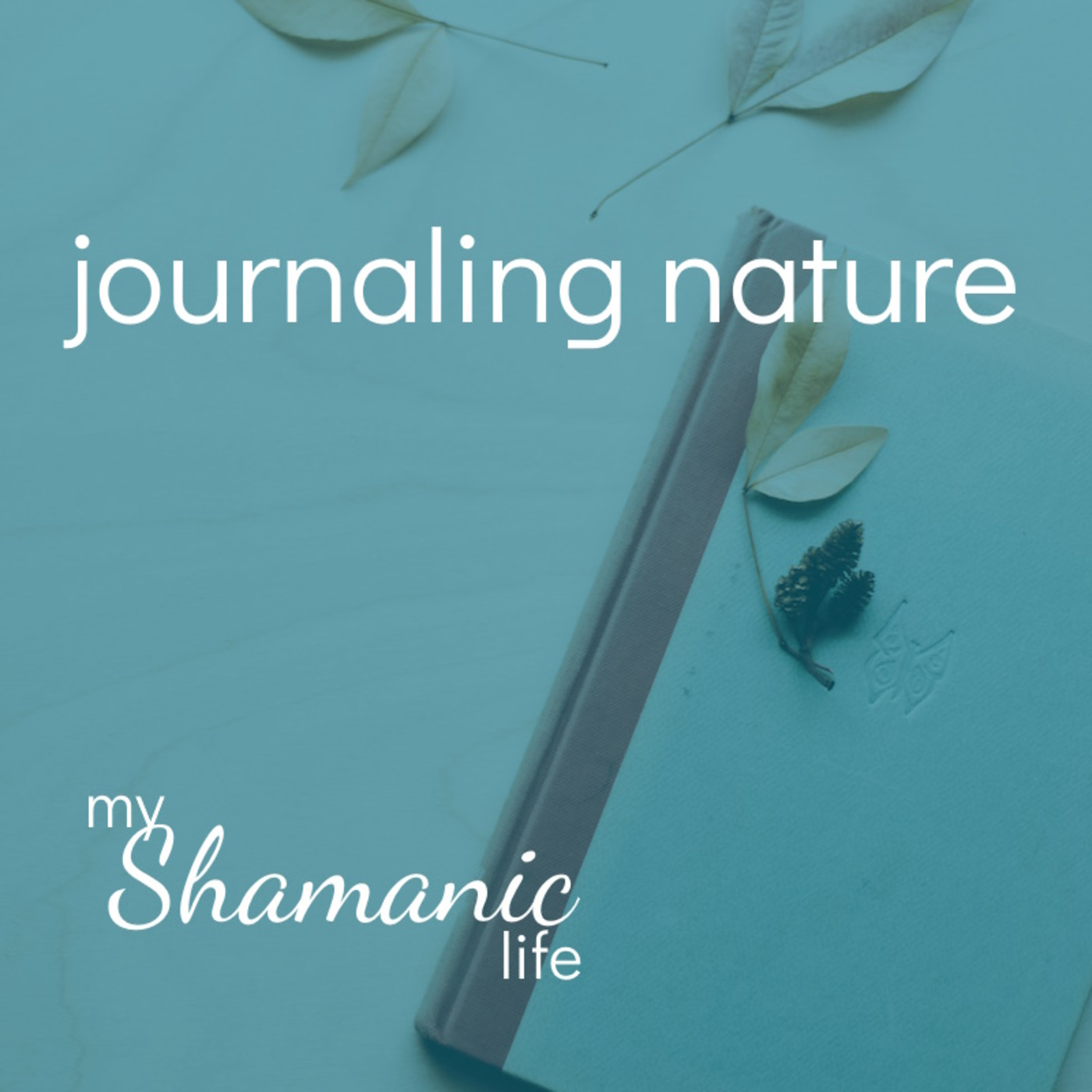Episode 154: Journaling Nature