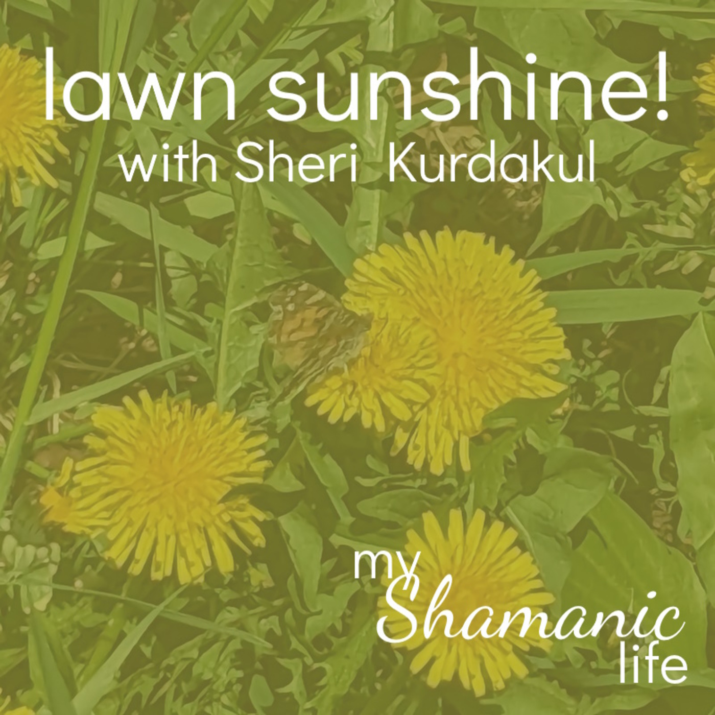 My Shamanic Life with Debbie Philp