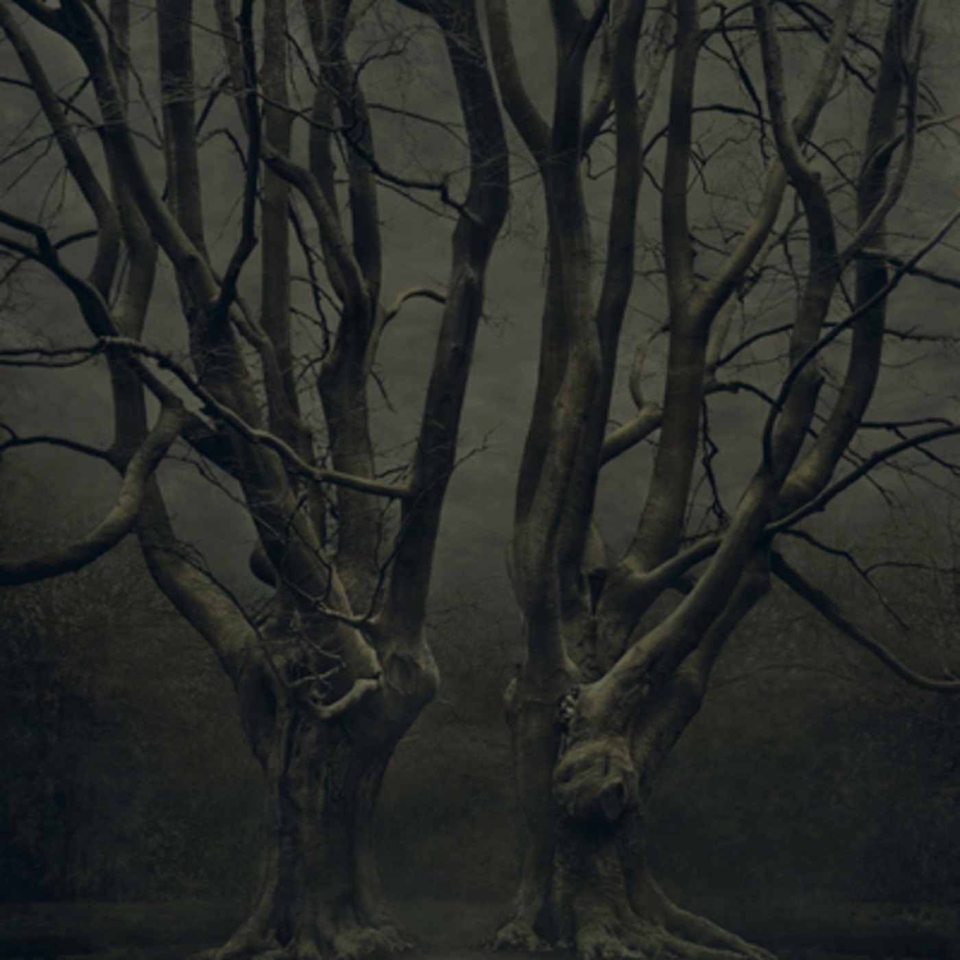 Em Transe podcast artwork