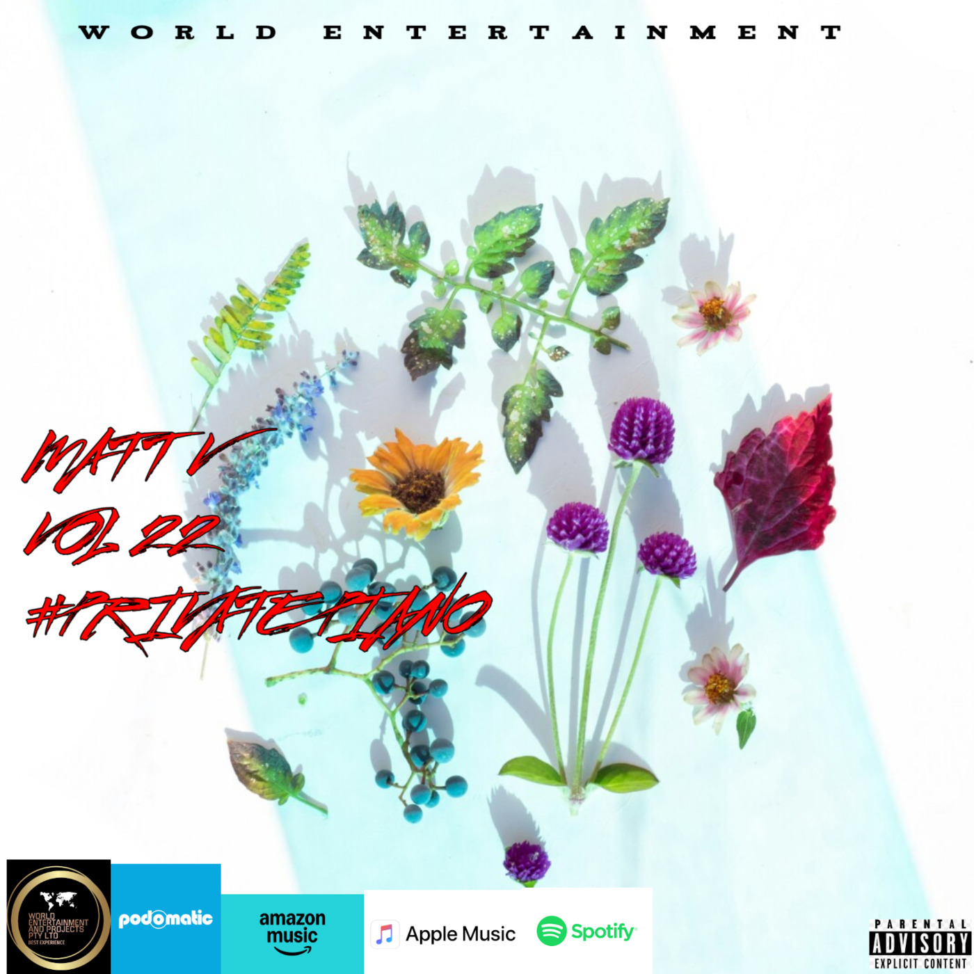 Episode 22: World 🌎 Entertainment Mixtape Vol 22 by Matt v#Private Piano episode artwork