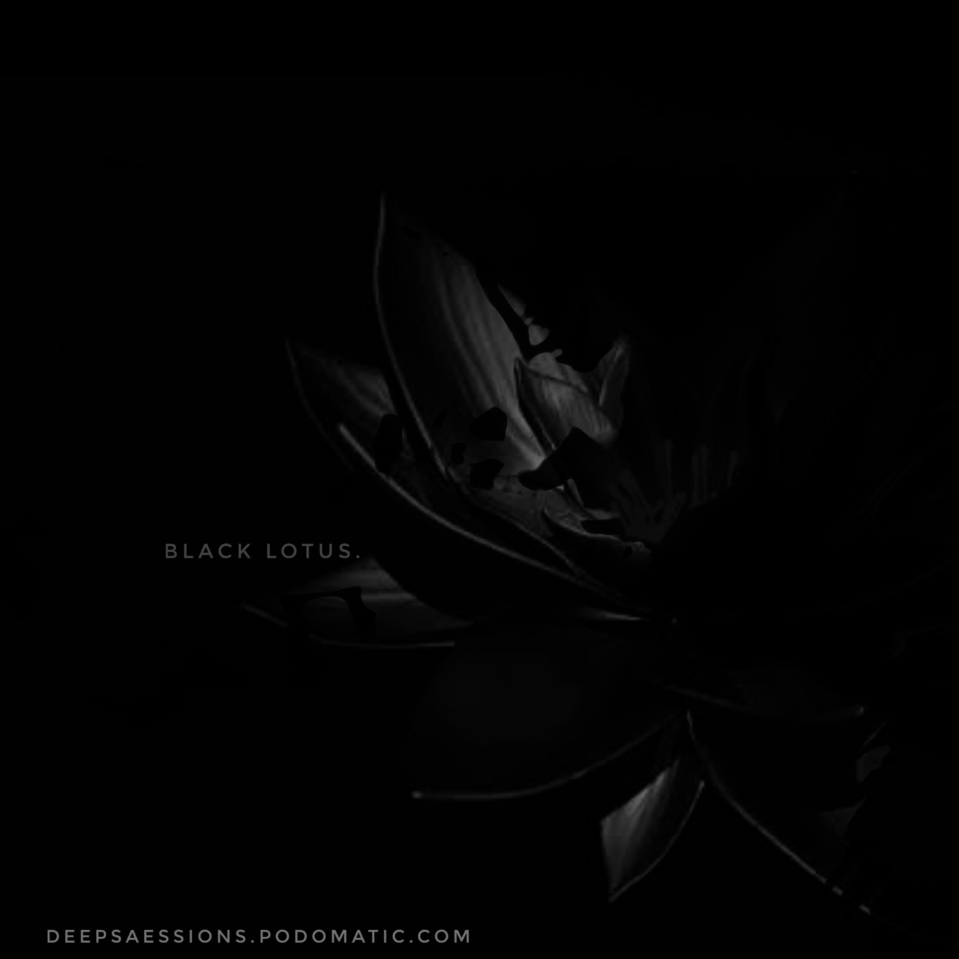 Deep Saessions 39 Special Tape // Black Lotus