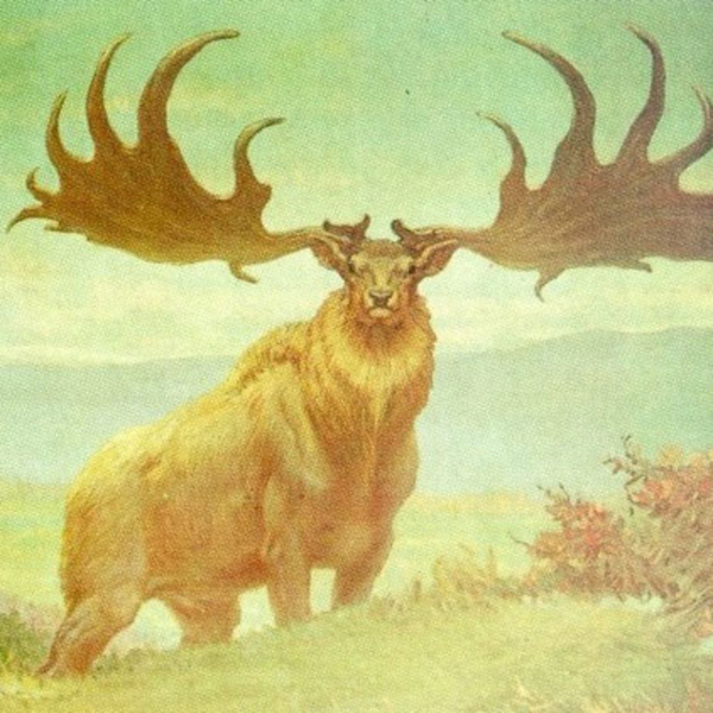 Extinctions in Near Time: Biodiversity Loss Since the Pleistocene