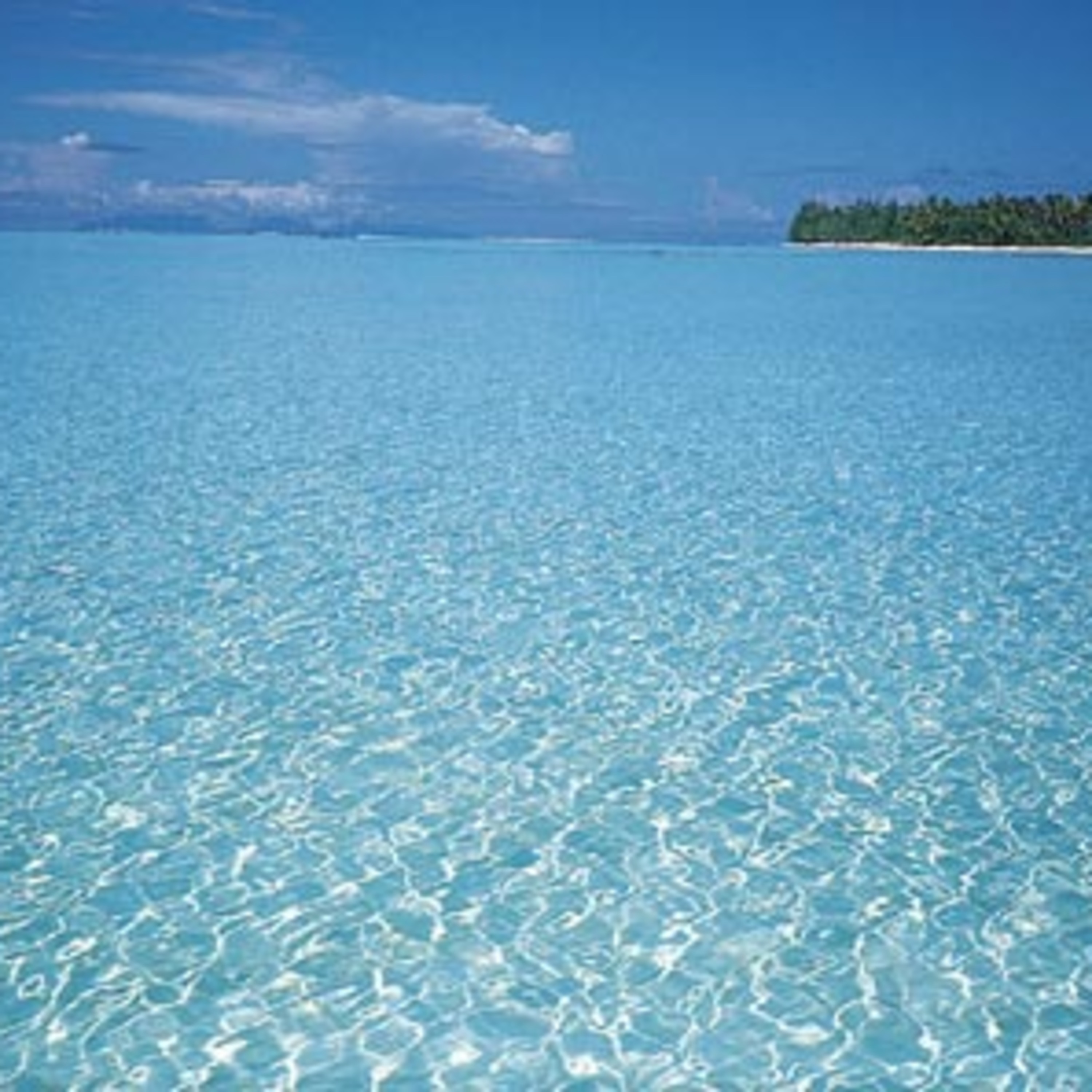 interview 18: Sebastien de Tahiti pour son frere Stephane P. (Oracle)