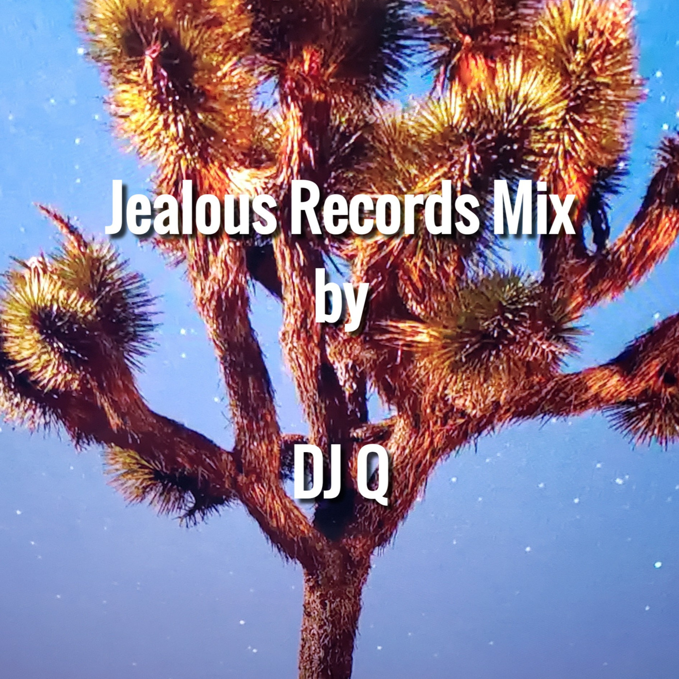 Jealous Records Mix