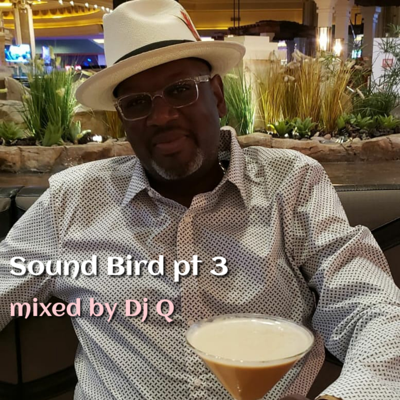 Episode 31: Sound Bird pt 3