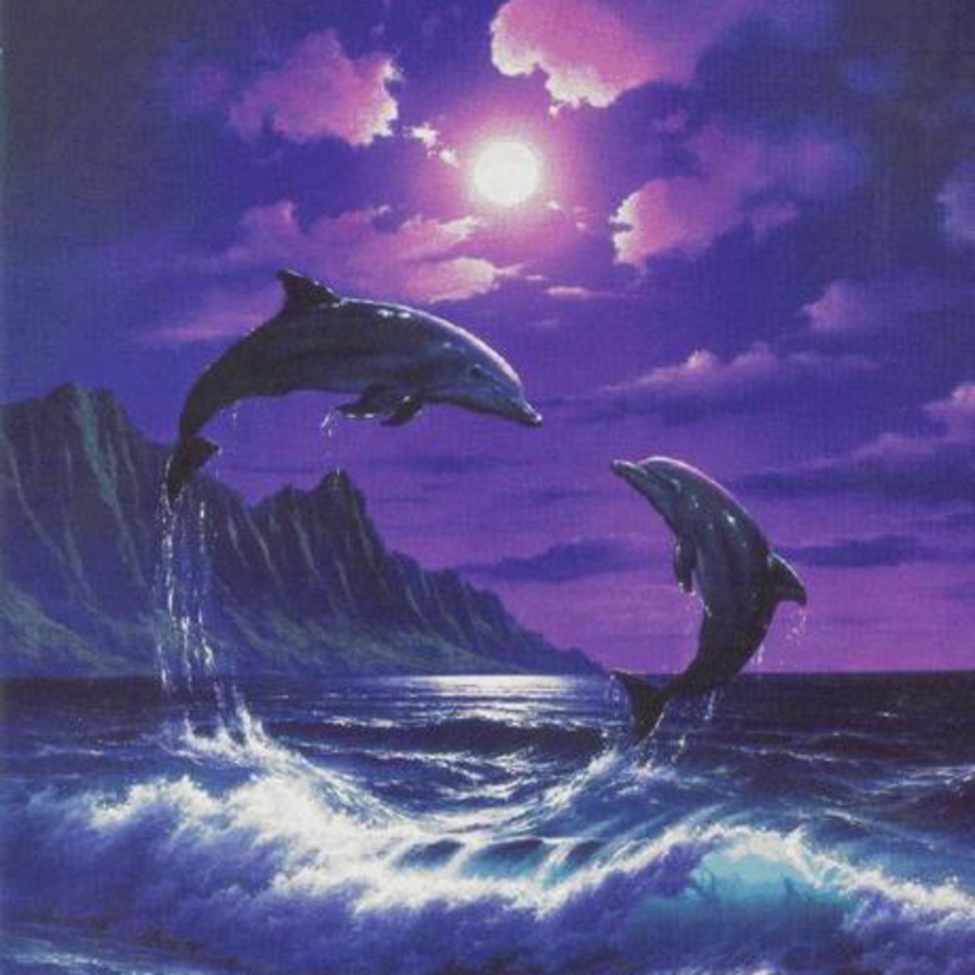 The wonderland of the sea