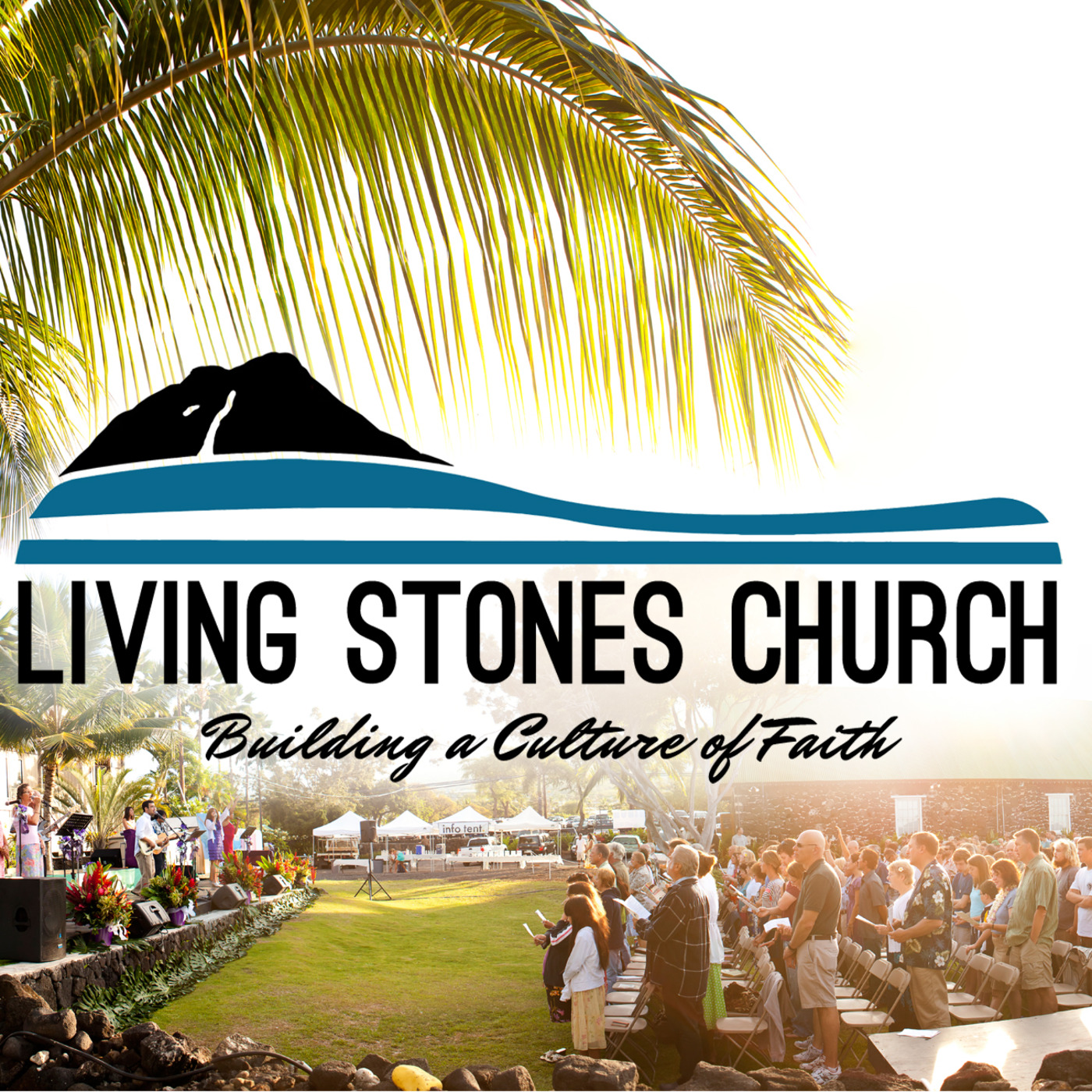Break Free from Strongholds