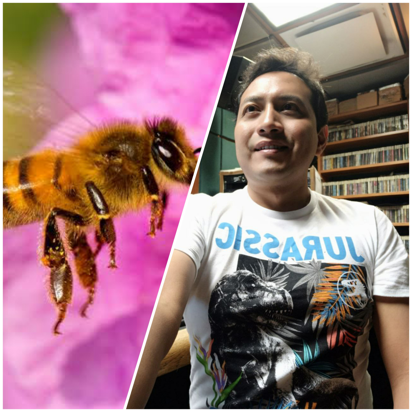 Episode 13: ALEX YEIK: "Cuidemos las Abejas!" episode artwork