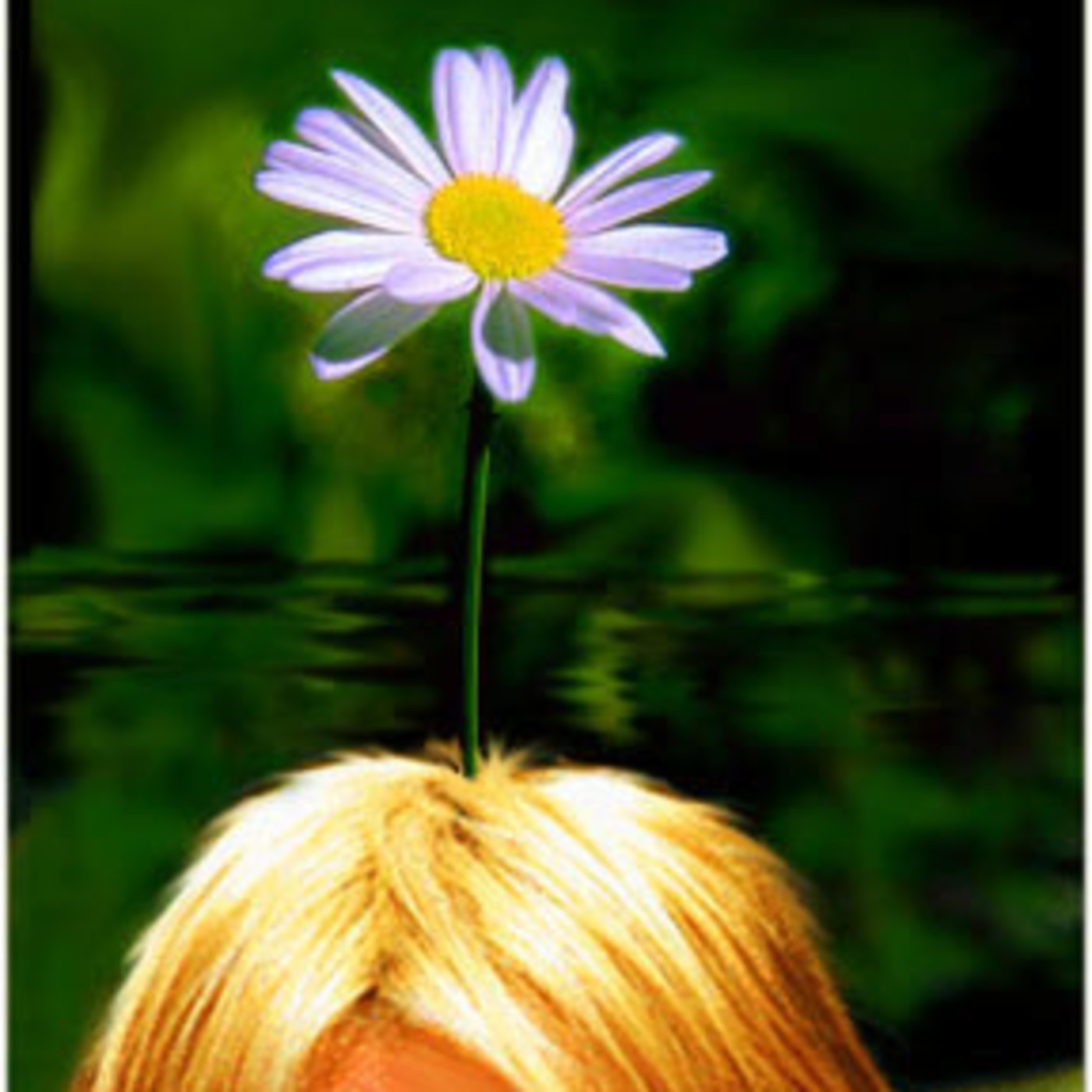 Daisy Head Mayzie