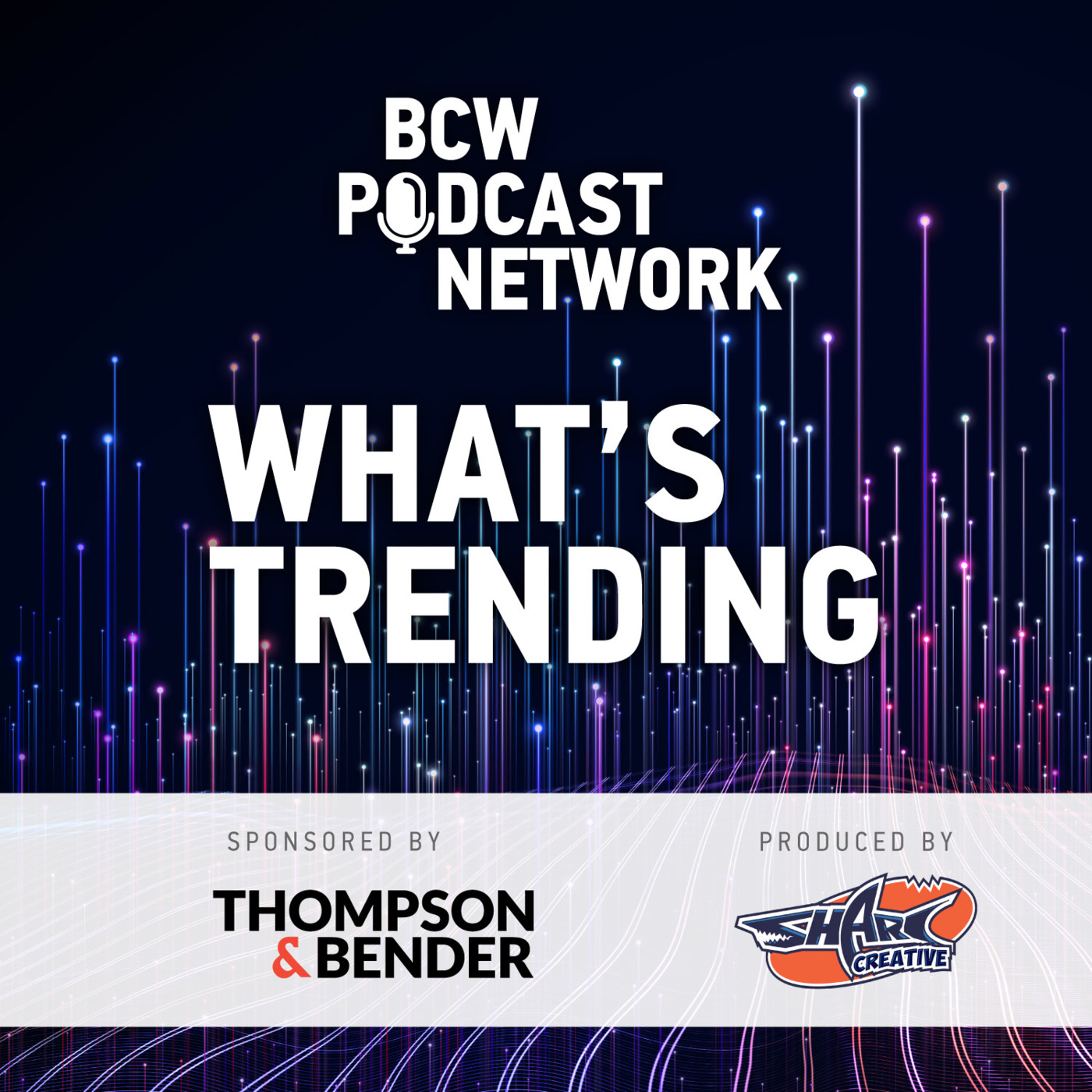 Episode 11: What’s Trending- The Future of Healthcare & Recruitment: Workforce Navigation and Leadership Insights with Alison Kuhns: Managing Partner and Founder, Everly Talent, and Beata Mastalerz: President of Northwell Health, Phelps Hospital